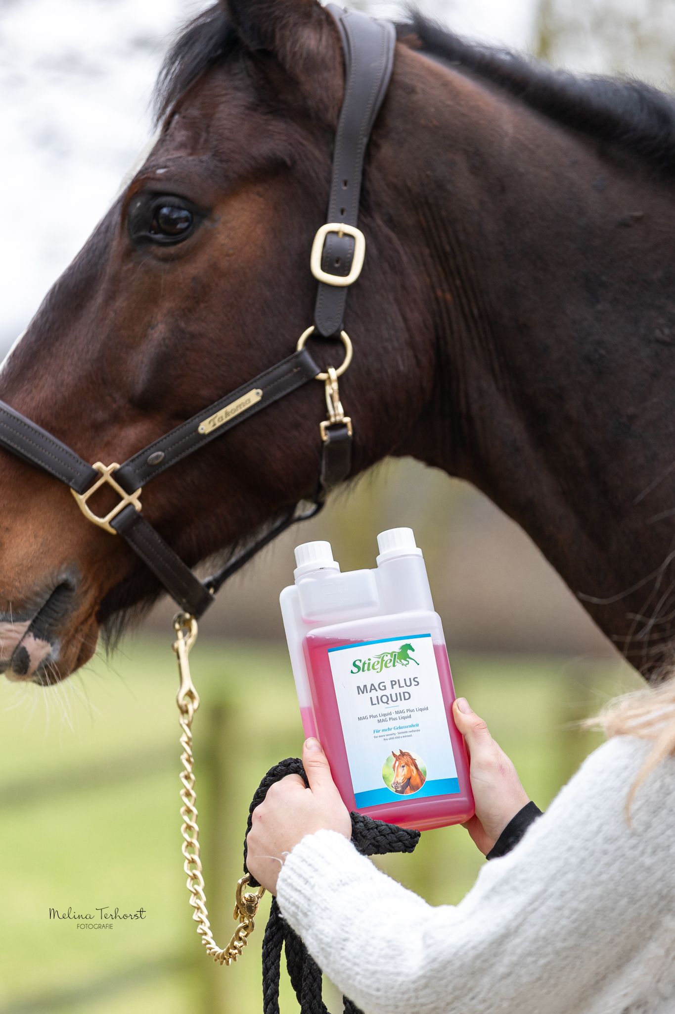 Person hält eine Flasche Stiefel MAG PLUS LIQUID vor einem Pferd. Die Flasche enthält eine rote Flüssigkeit. Deutlich sichtbare Produktbezeichnung.