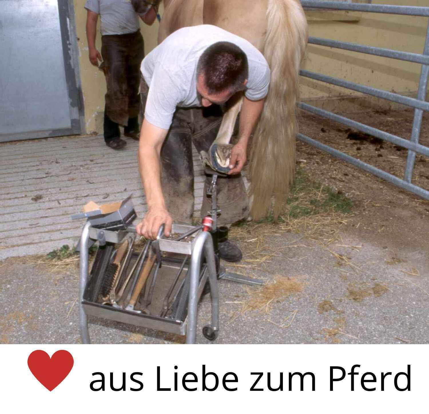 Ein Mann schneidet die Hufe eines Pferdes. Er benutzt Werkzeuge aus einem Wagen. Text: "aus Liebe zum Pferd" mit einem Herzsymbol. Der Hintergrund zeigt einen Stall.