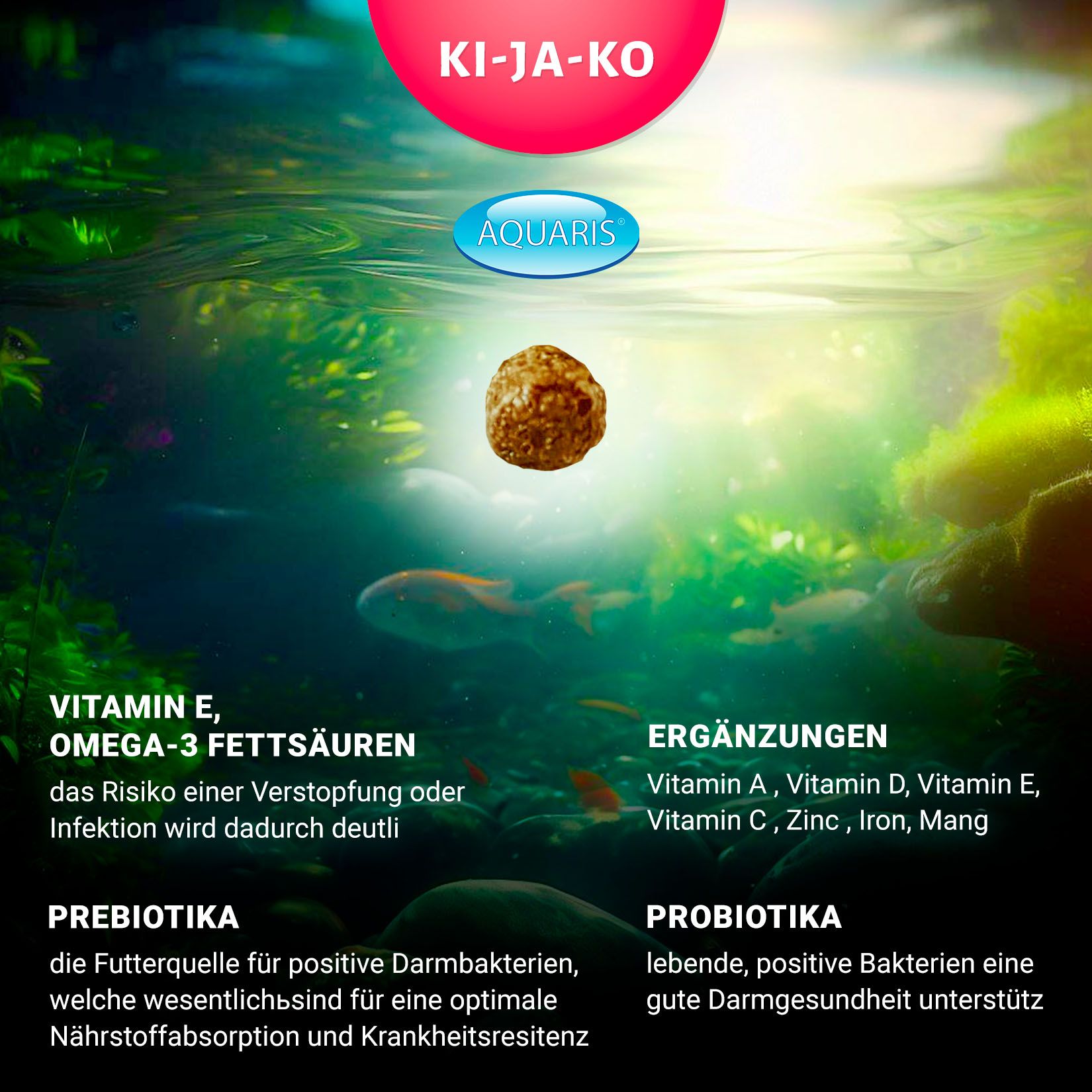 Illustration von Koifutter-Pellets im Wasser, mit Text über Inhaltsstoffe und Vorteile.