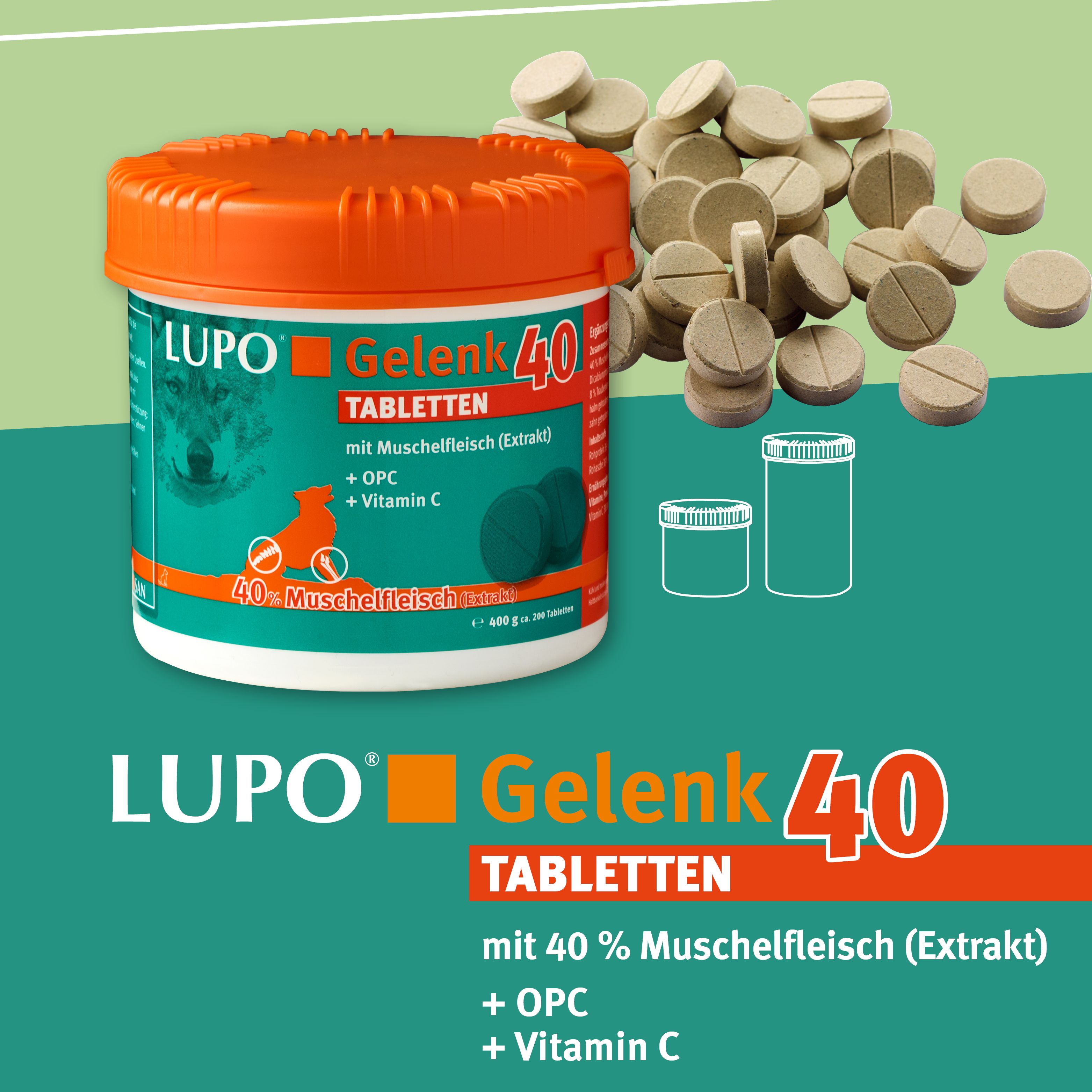 LUPO Gelenk 40 - Tabletten