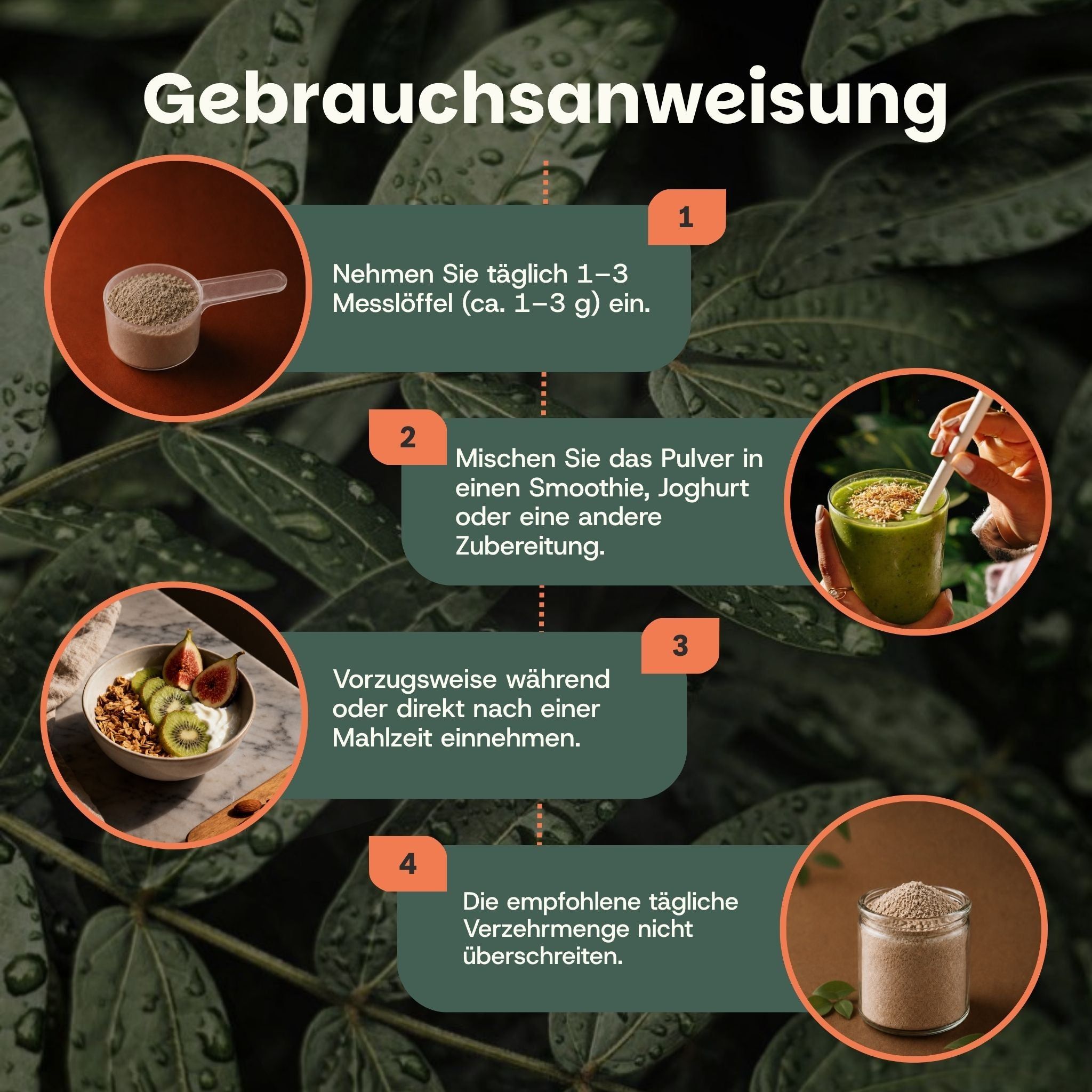 Gebrauchsanweisung für Chaga-Pulver: Dosierung, Mischung in Smoothie/Joghurt, Einnahmezeitpunkt und Verzehrmenge.