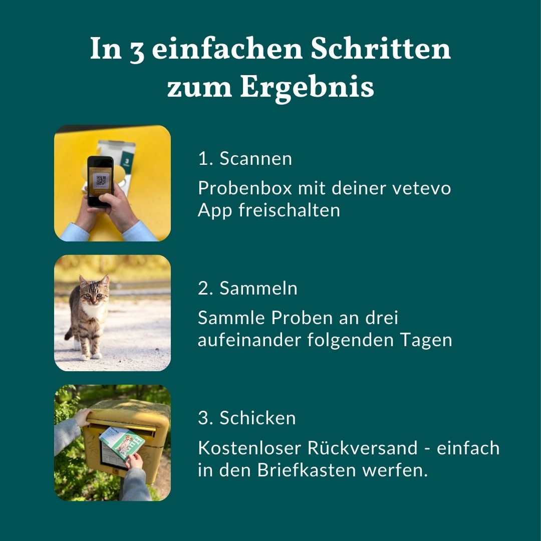 Anleitung Giardientest für Katzen in 3 Schritten: Scannen, Sammeln von Proben an 3 Tagen, kostenloser Versand.