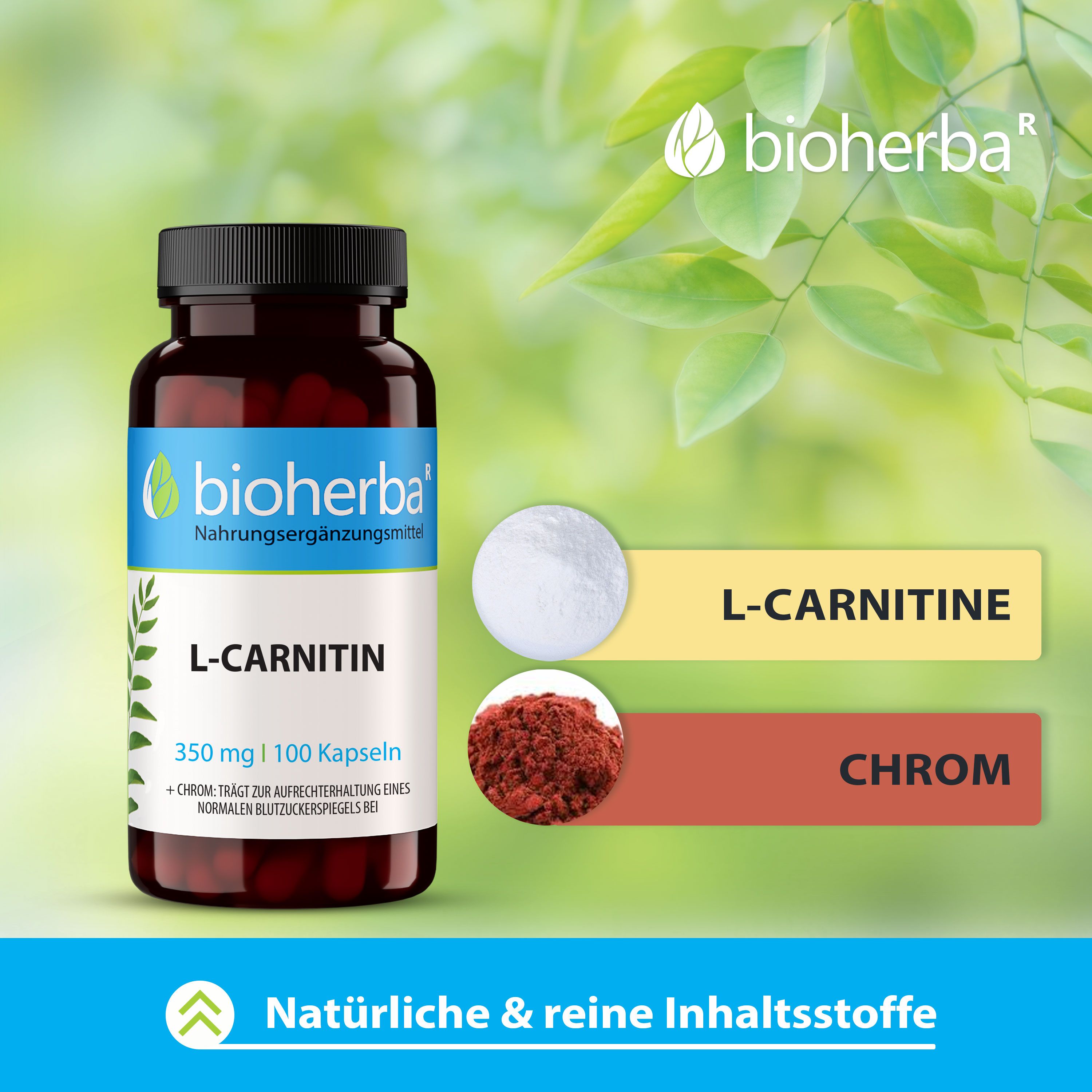 Bioherba L-Carnitin Kapseln