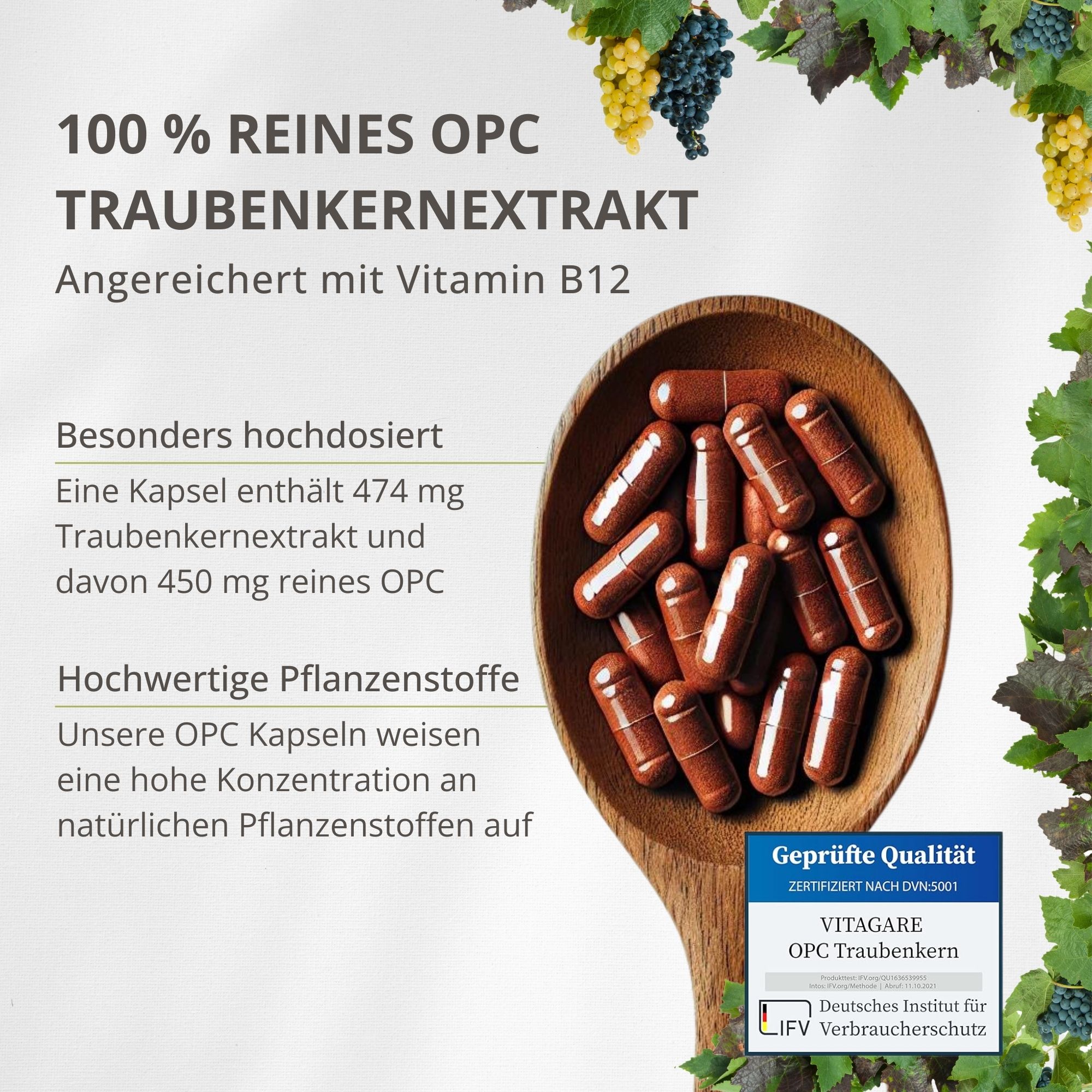 Holzlöffel mit braunen Kapseln. Text: 100% reines OPC Traubenkernextrakt. Geprüfte Qualität. Zertifiziert nach DIN ISO 9001.