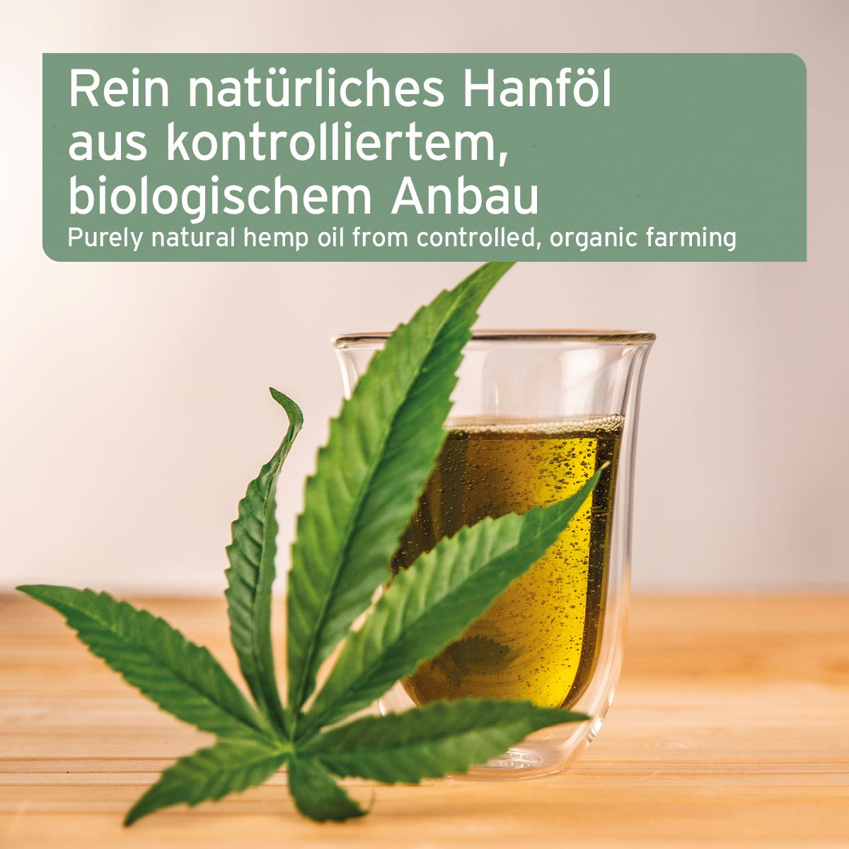 AniForte Bio Hanföl 500 ml Öl