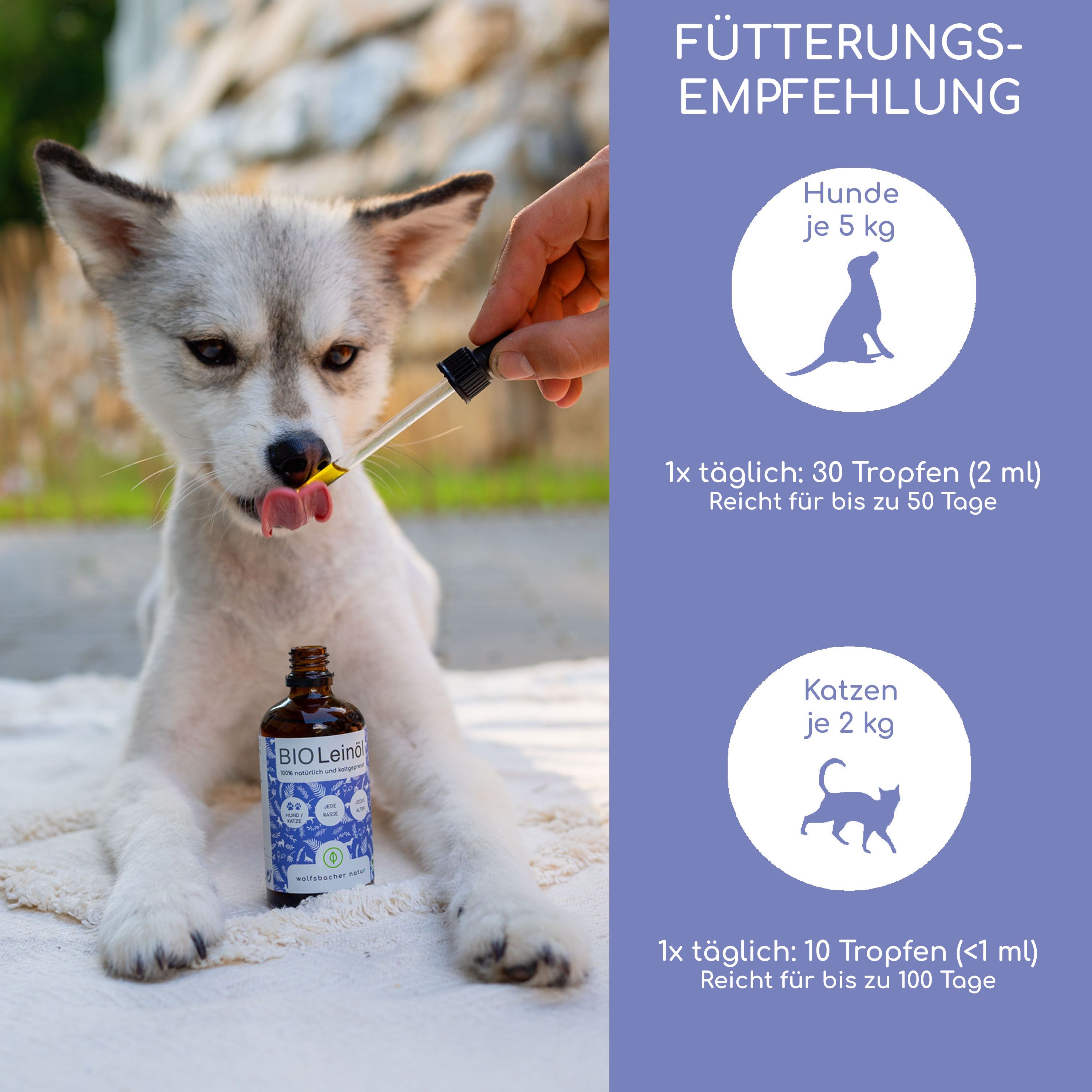 Hund erhält Tropfen aus Bio Leinöl Flasche, Fütterungsempfehlung für Hunde und Katzen.