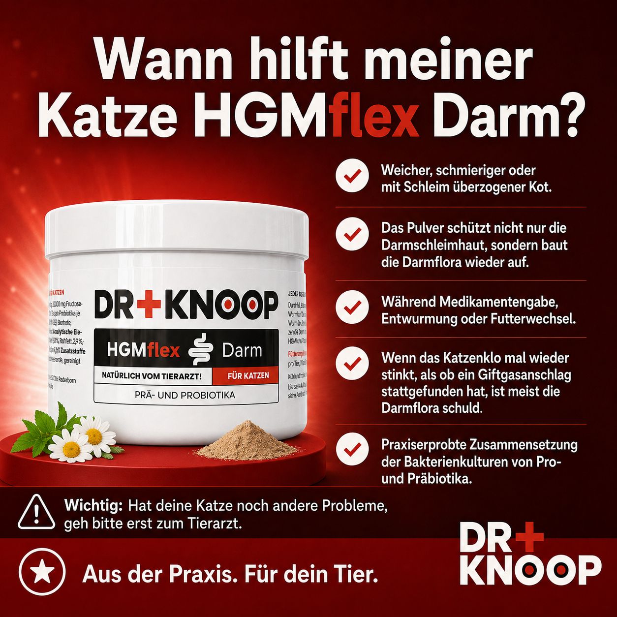 Darmpulver Katze HGM flex Behälter neben Kamillenblüten und Pulver.