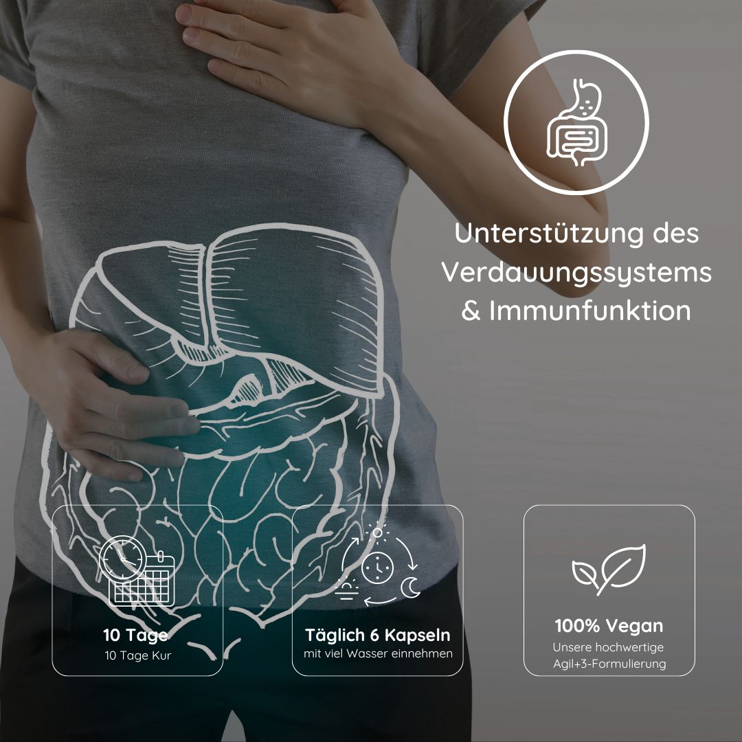 Bauch mit Illustration des Verdauungssystems. Text: Unterstützung des Verdauungssystems & Immunfunktion. Icons: 10-Tage-Kur, 6 Kapseln täglich, 100% vegan.