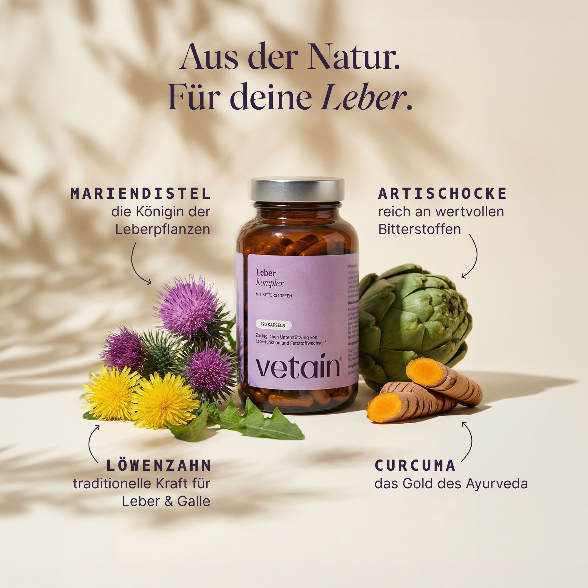 Flasche VETAIN Leber Komplex. Illustrationen: Mariendistel, Artischocke, Löwenzahn, Curcuma. Text: Aus der Natur. Für deine Leber.
