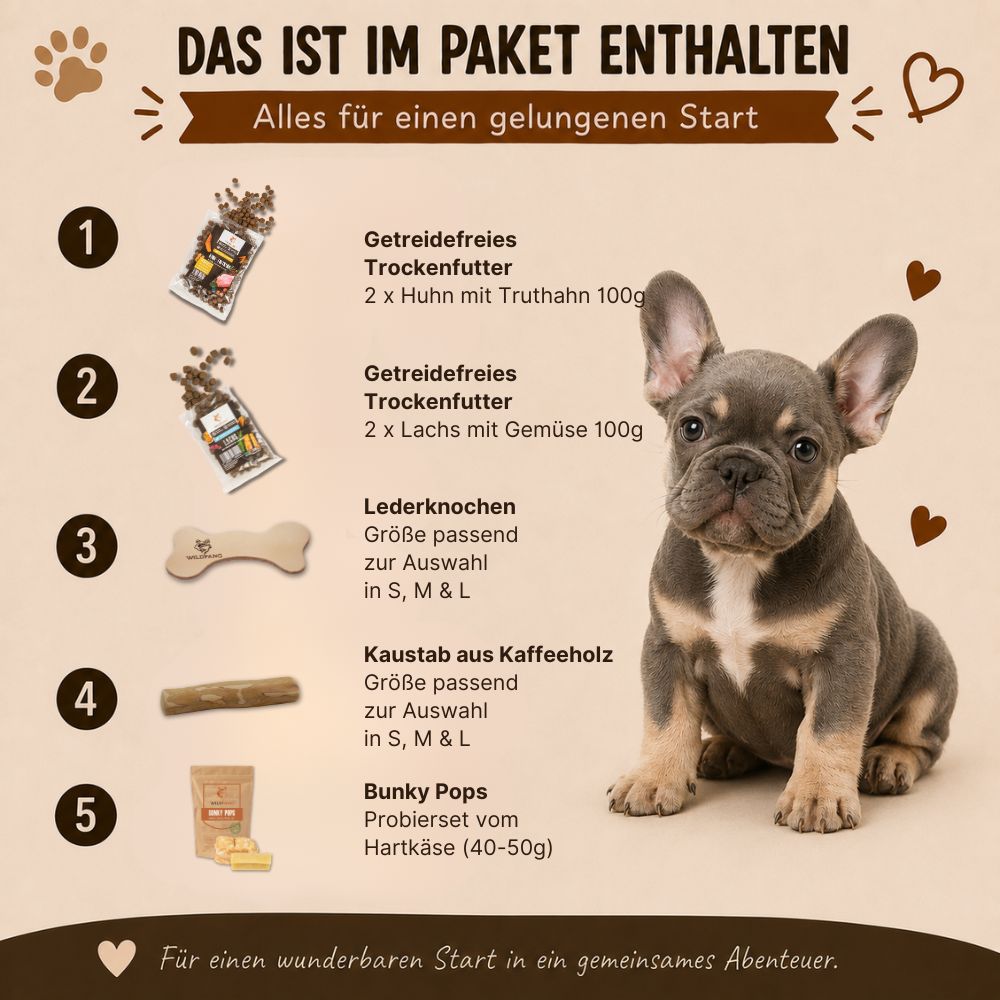 Inhalt des Welpen Pakets "Willkommen Wegbegleiter": Trockenfutter, Lederknochen, Kaffeeholzkauartikel, Bonky Pops.