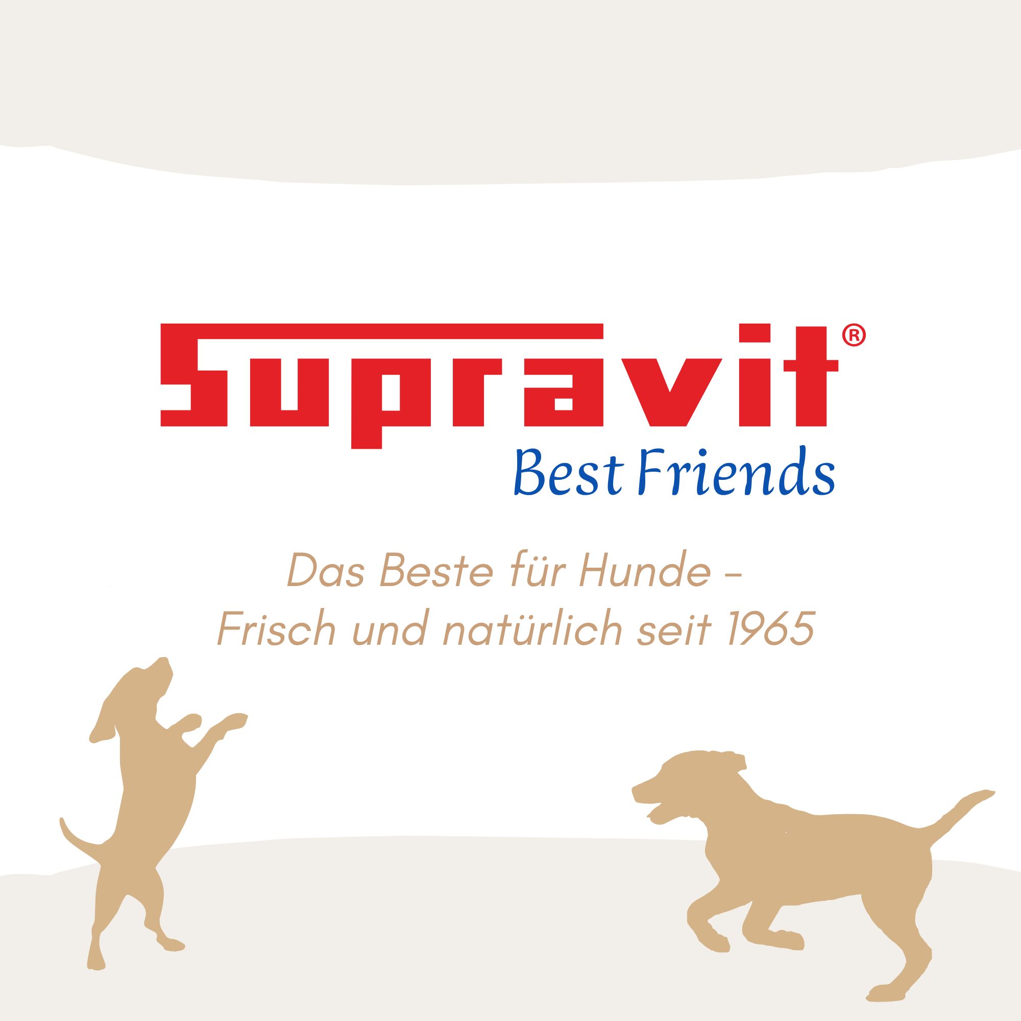 Supravit Hundenassfutter Dosenfutter für Hunde