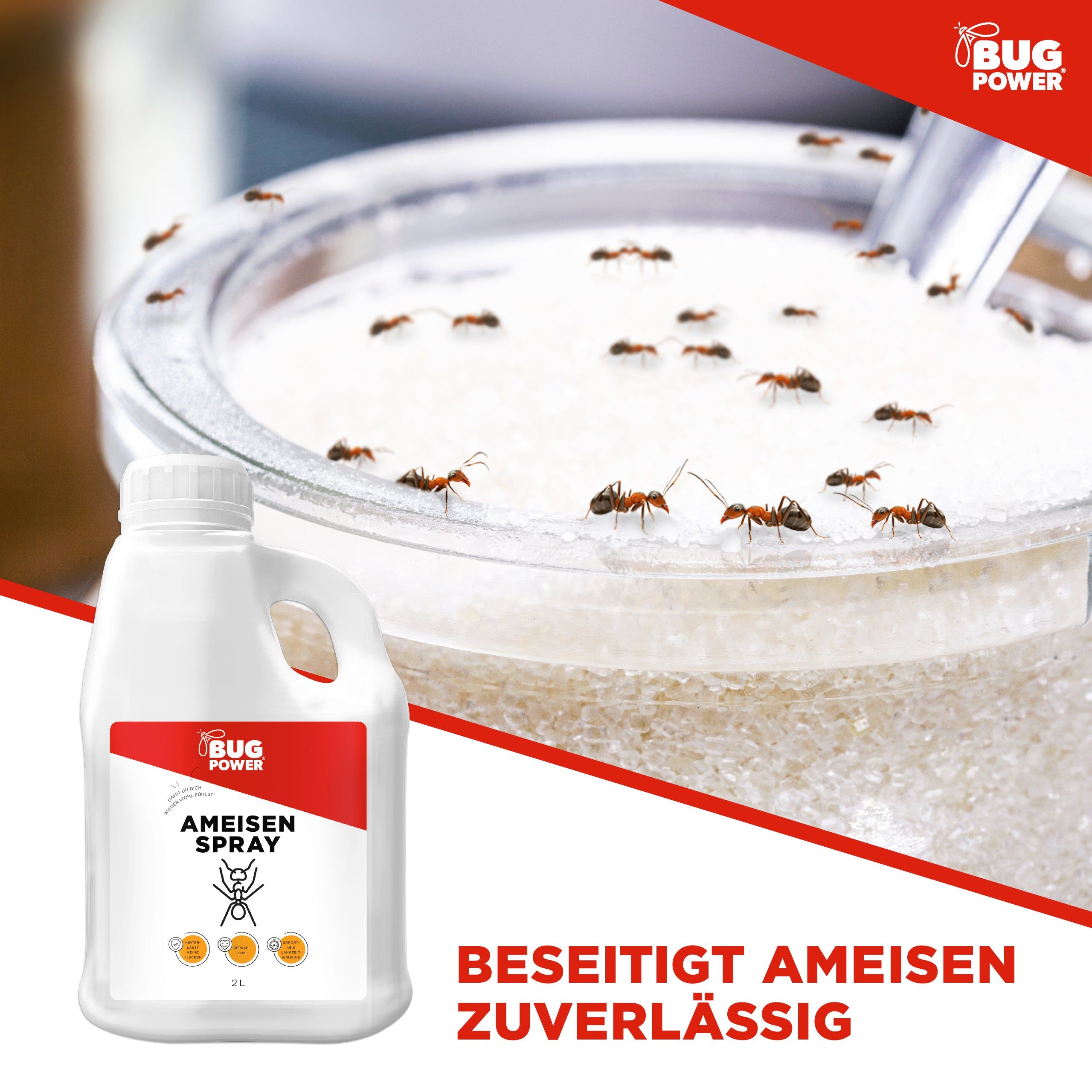 BugPower Ameisen Spray