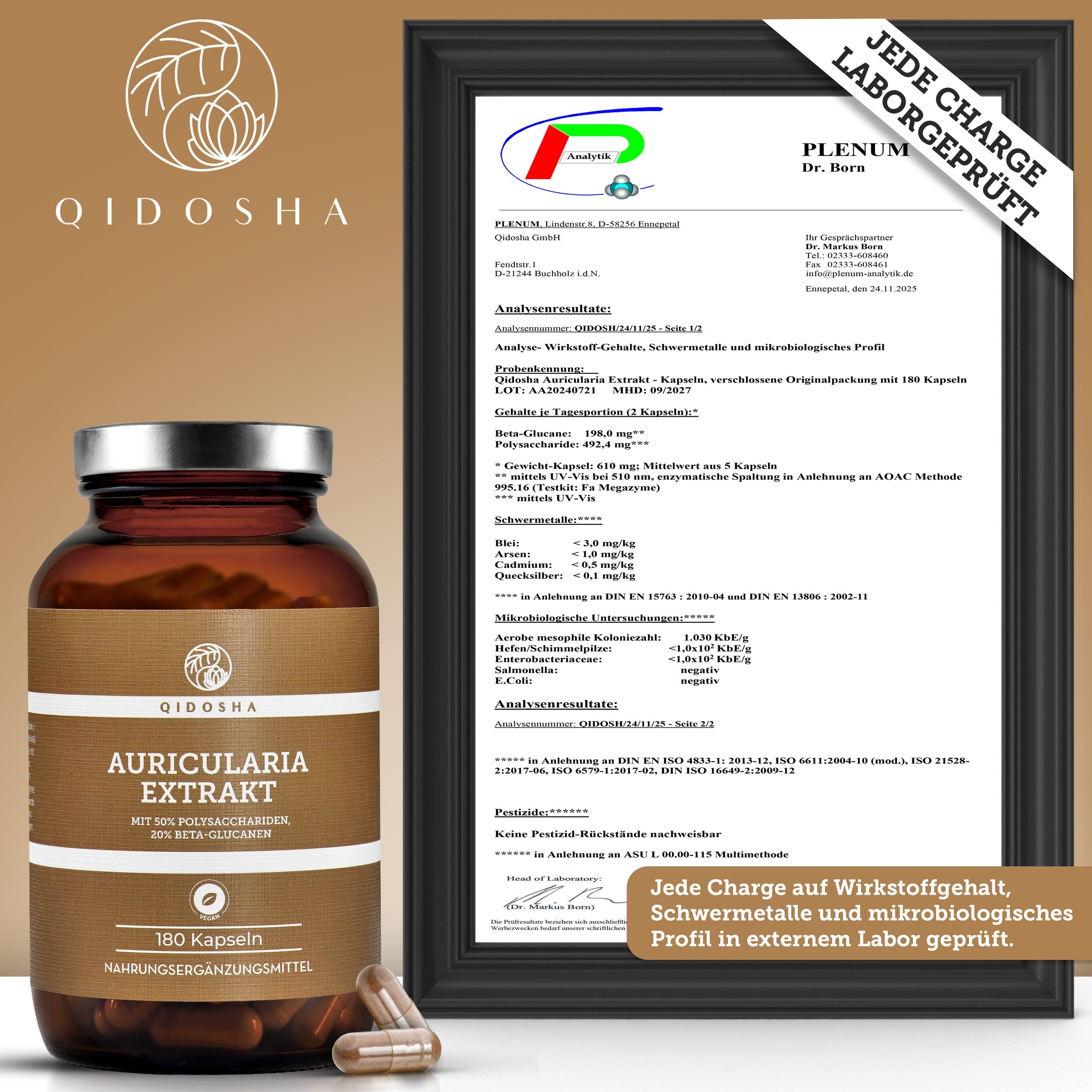 Laborbericht für Qidosha Auricularia Extrakt. Geprüft auf Wirkstoffe, Schwermetalle und Pestizide.