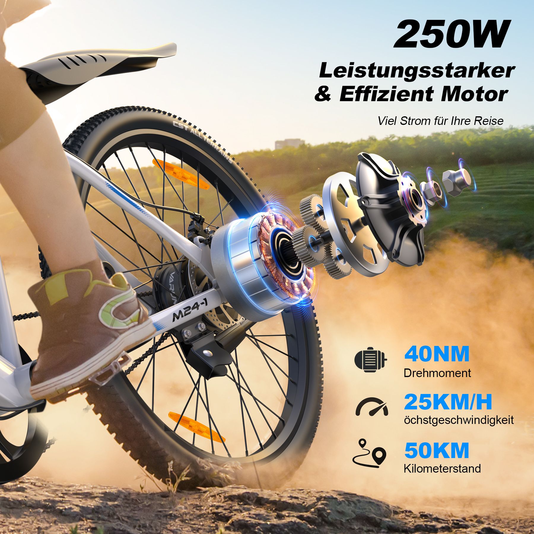 E-Bike-Motor. 250W Motor. 40NM Drehmoment, 25KM/H Höchstgeschwindigkeit, 50KM Reichweite. Zahnräder, Reifen.