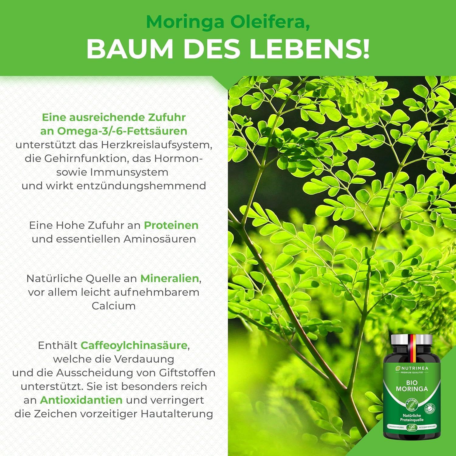 Nutrimea MORINGA Oleifera Kapseln