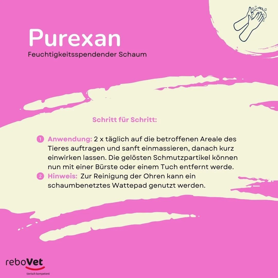Anleitung für ReboCare Purexan Schaum, mit Symbolen und Text.