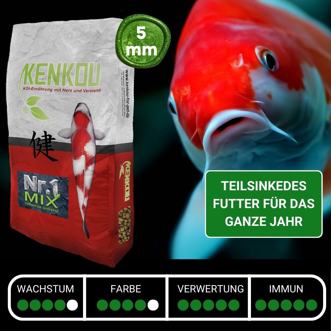 KENKOU Nr.1 -MIX