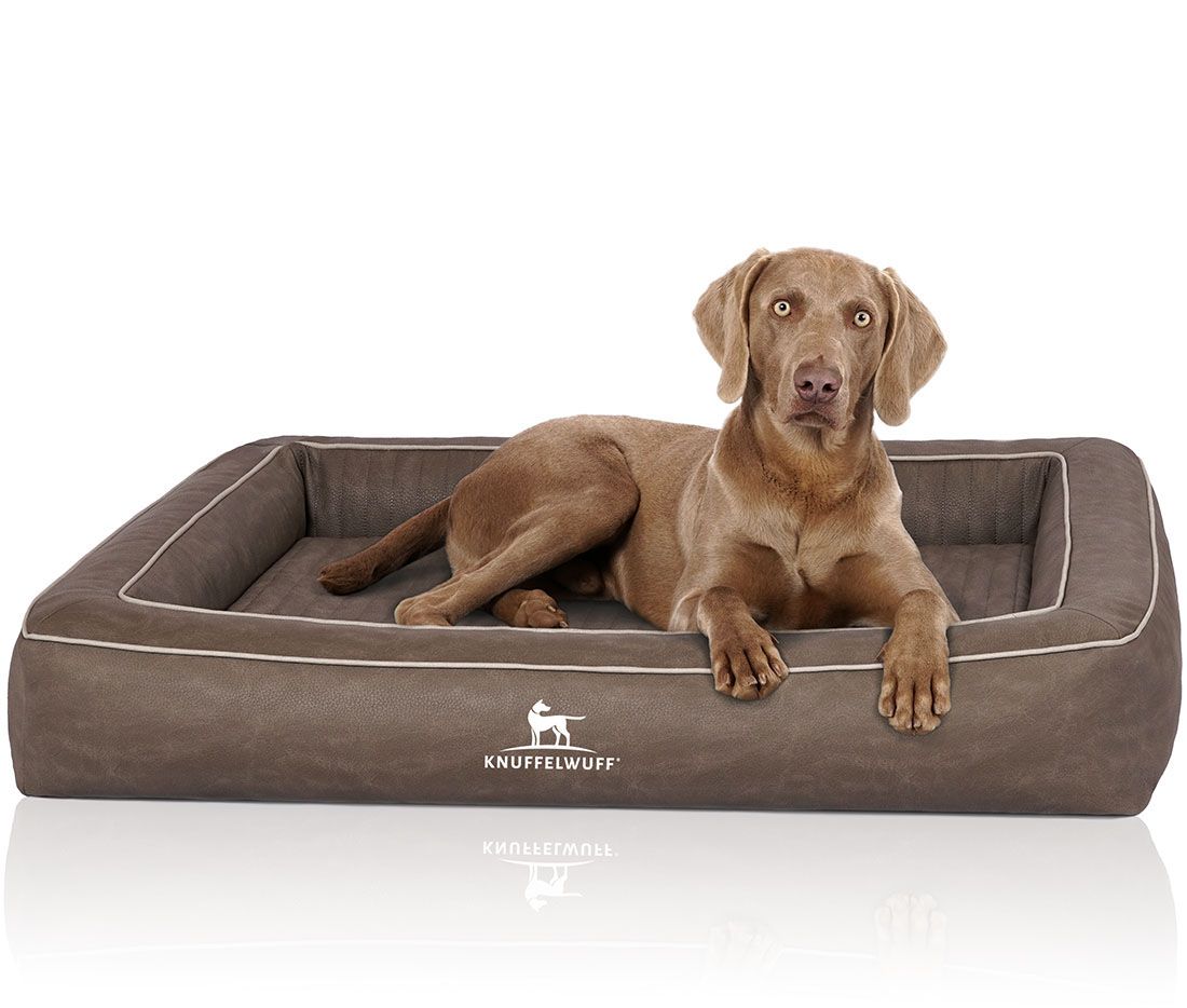 Knuffelwuff Orthopädisches Hundebett Montego
