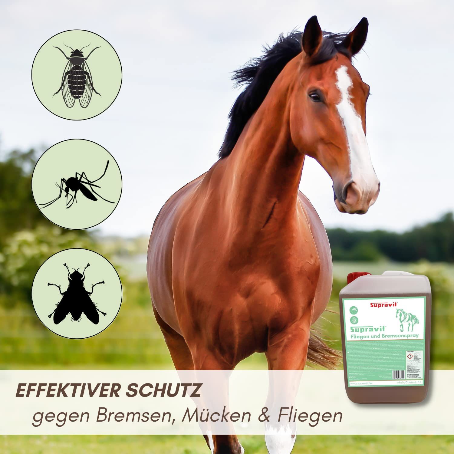 Supravit Bremsen & Fliegenspray Pferd | Effektiver Insektenschutz