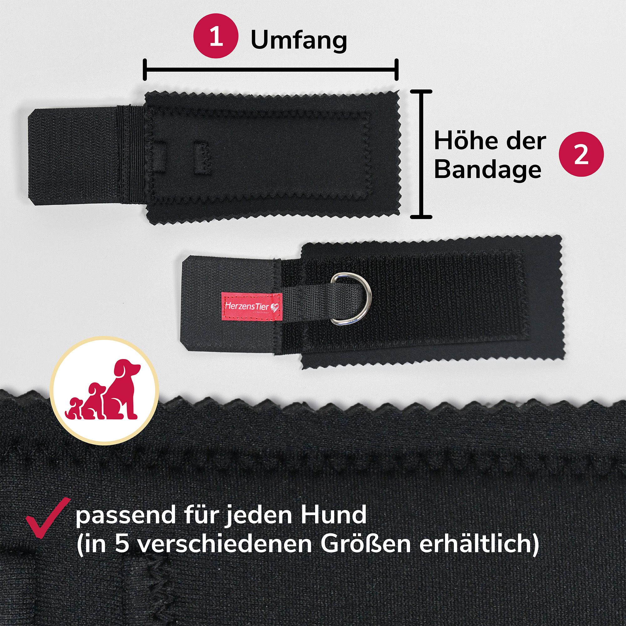 Zwei schwarze Bandagen. Eine mit HerzensTier-Etikett und Ring. Maße: Umfang und Höhe. Text: passend für jeden Hund in 5 Größen.