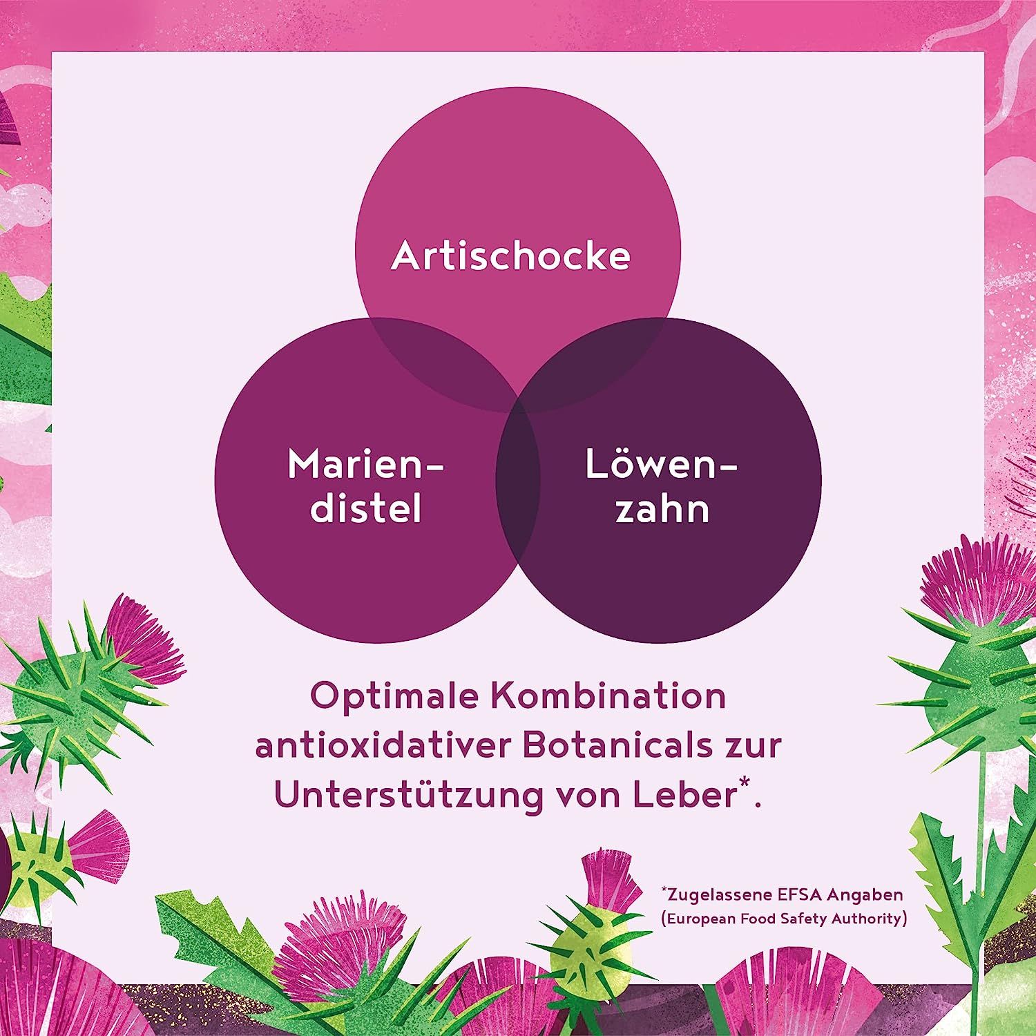 Grafik mit drei Kreisen: Mariendistel, Artischocke, Löwenzahn. Optimale Kombination zur Unterstützung der Leber.