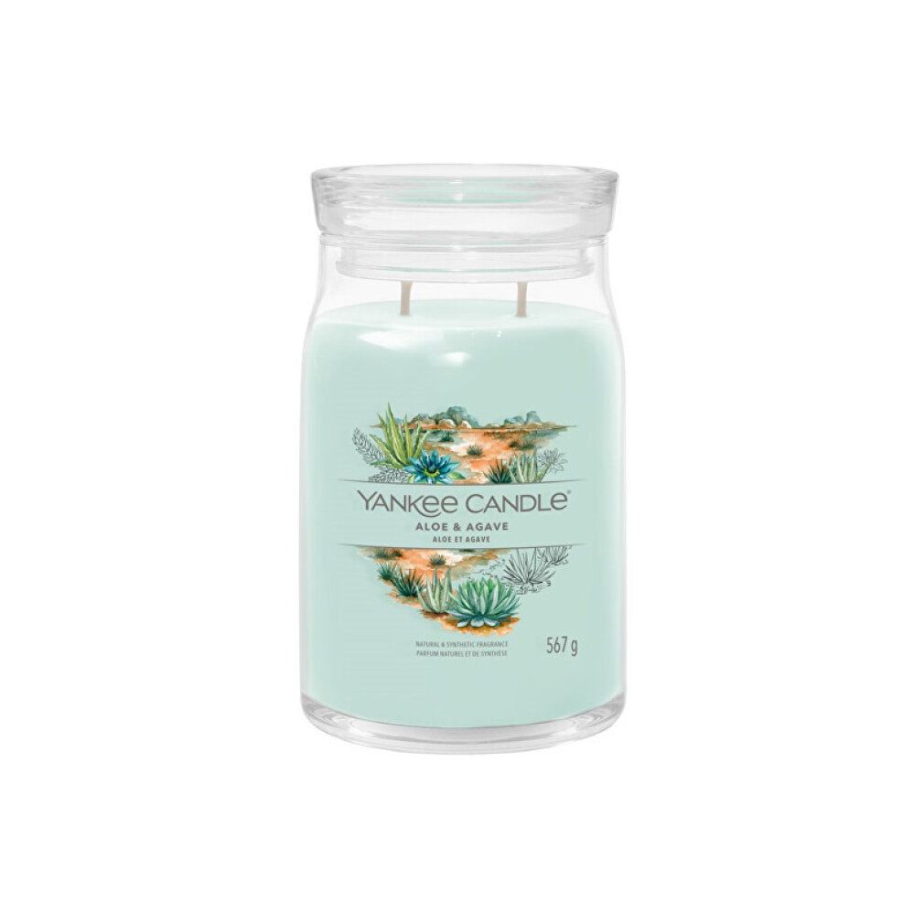 Glas-Duftkerze mit Deckel. Hellgrünes Wachs mit zwei Dochten. Aufschrift: Yankee Candle Aloe & Agave. 567g.