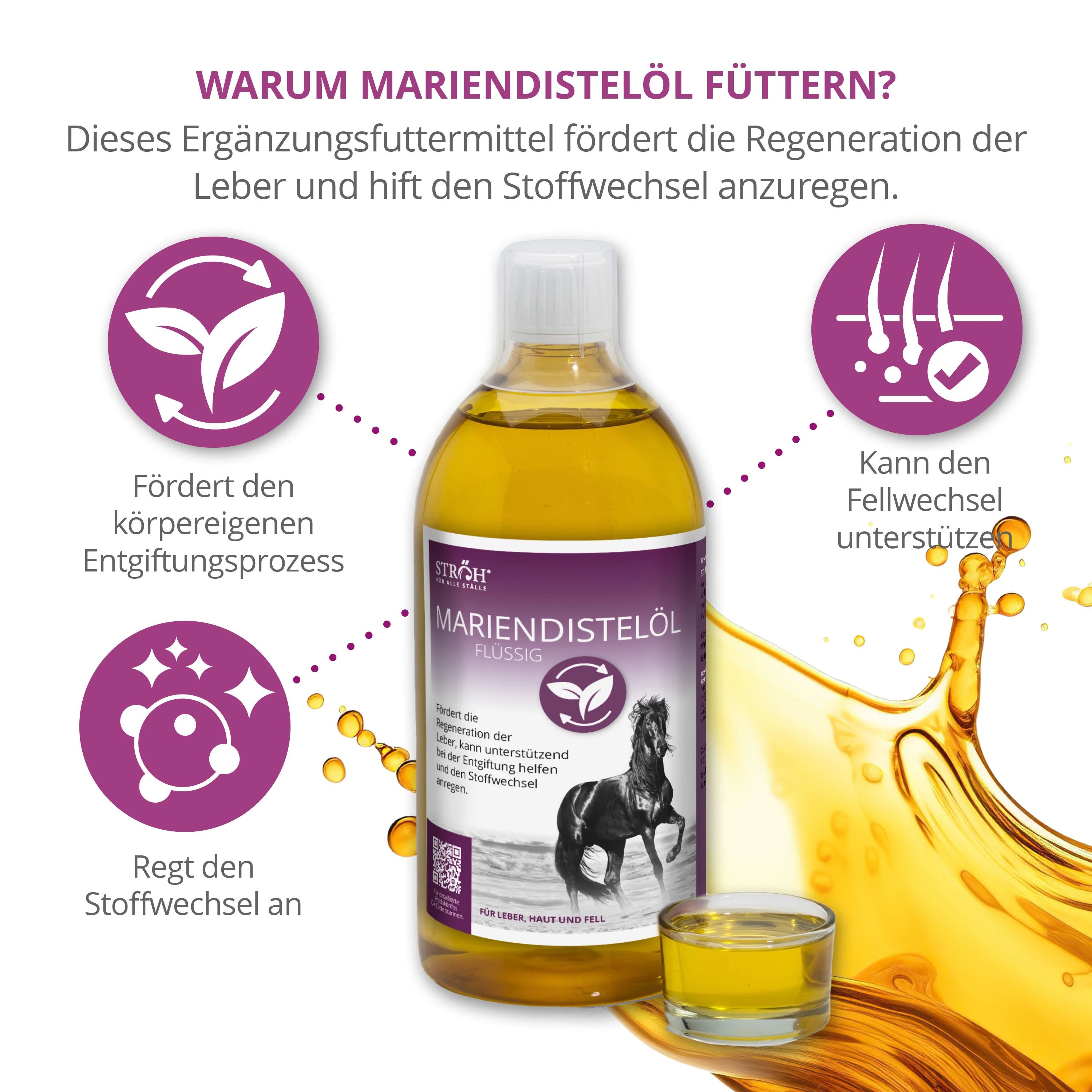 Mariendistelöl-Flasche mit gelber Flüssigkeit. Grafiken mit Text. Kleines Glas mit Öl. Hintergrund mit Tropfen.