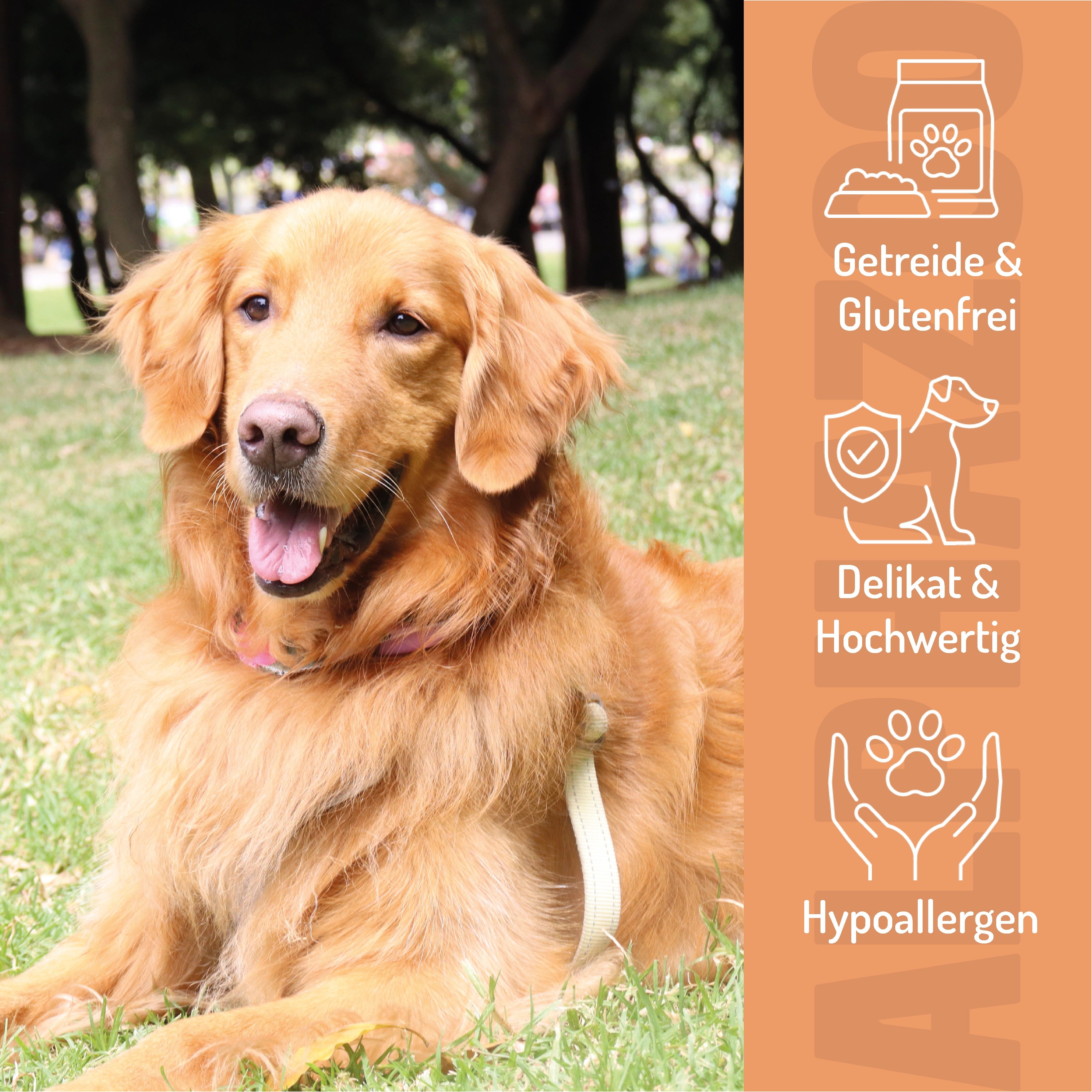 Hund im Gras liegend. Auf orangefarbenem Hintergrund Symbole für getreide- & glutenfrei, delikat & hochwertig, und hypoallergen.