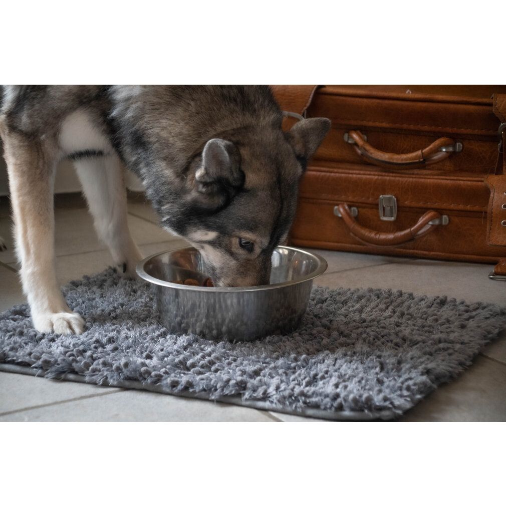 Grauer Spillmat unter einer Futterschüssel. Ein Hund frisst aus der Schüssel.