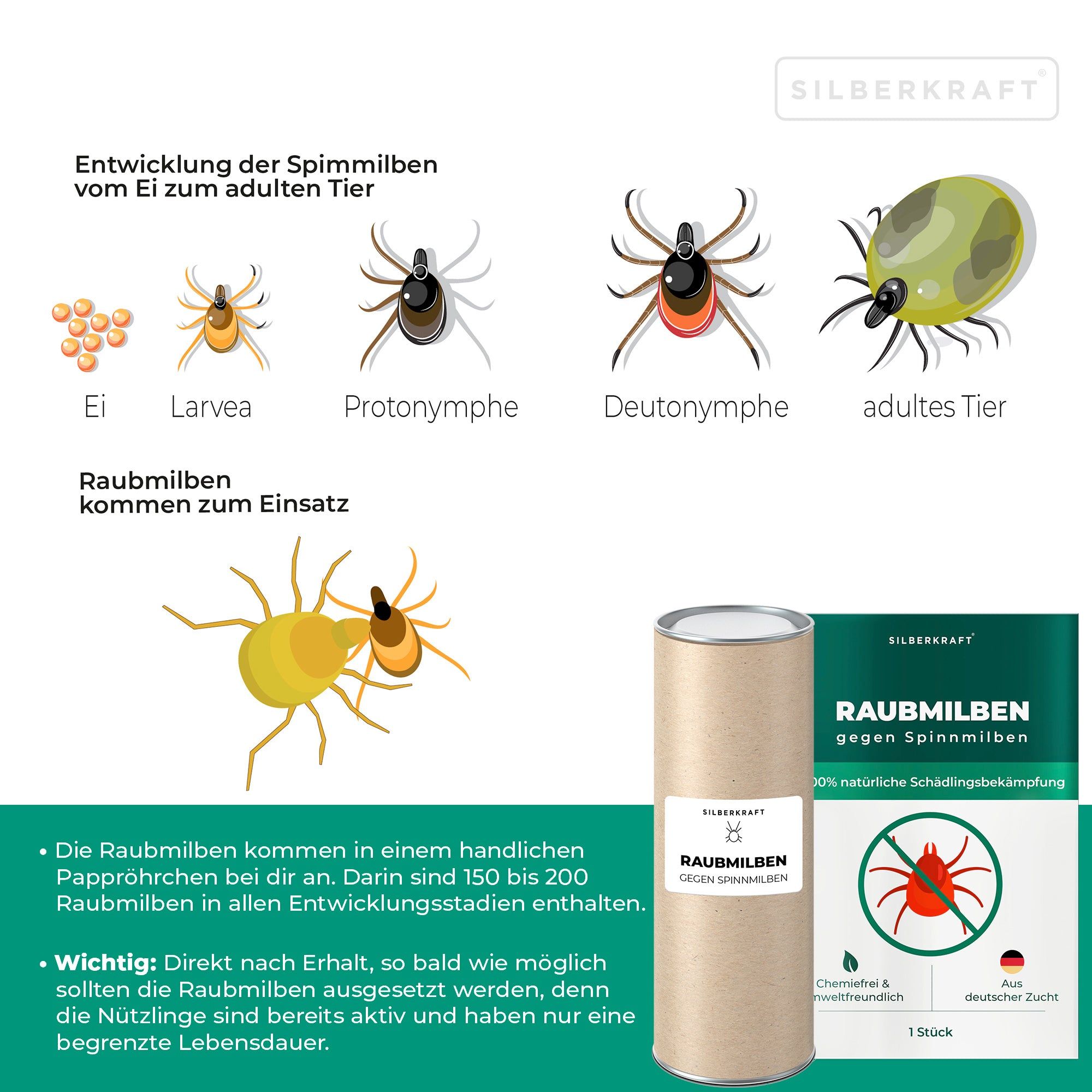 SILBERKRAFT Raubmilben