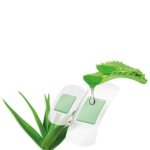 Lifemed 10 Pflaster-Strips weiß "Aloe vera" 2 Größen