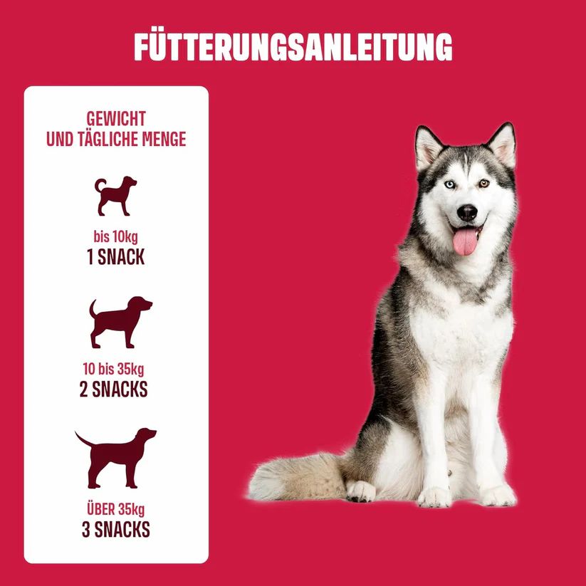 Fütterungsempfehlung mit Hundesilhouetten und Mengenangaben. Ein Hund sitzt auf rotem Hintergrund.