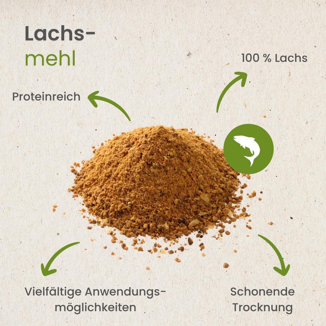Goldener Retriever mit Kauartikel-Versprechen: naturbelassen, glutenfrei, ohne Zusätze.