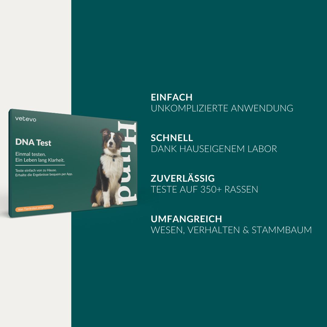 Alles in einer Box: 2x Speichelsammler, Aktivierungscode, kostenloser Rückversand.
