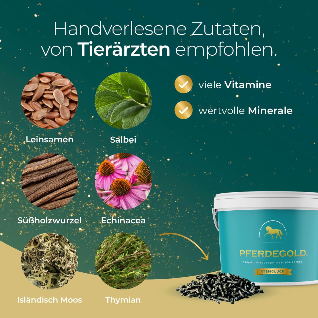 Pferdegold Atemglück