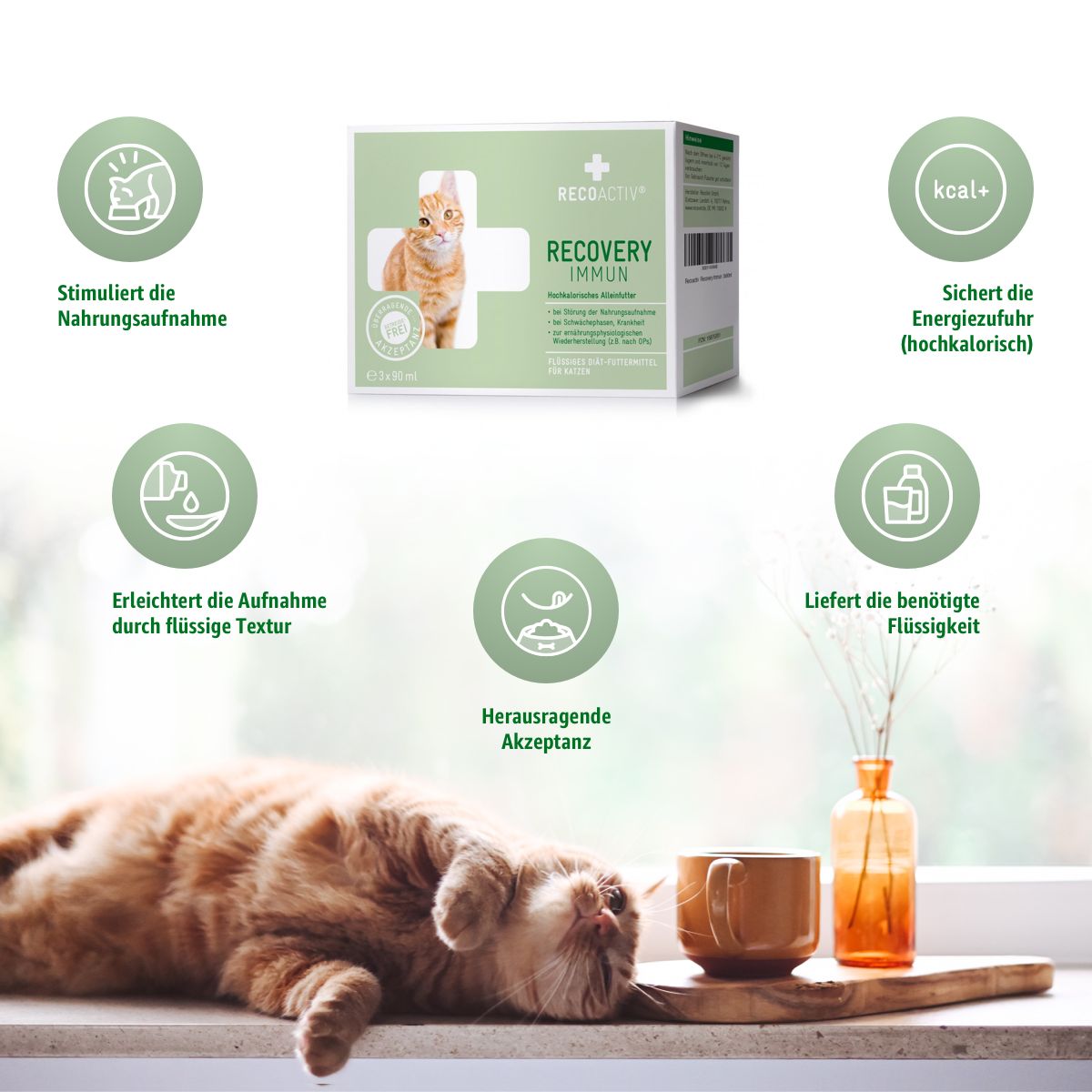 Katze auf Fensterbank. Produktverpackung und Flasche mit Produktnamen. Grafiken zeigen Vorteile des Produkts: Appetit, Energie, Flüssigkeit.