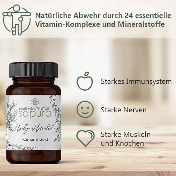 Holy Health MultiKomplex ⭐MSM⭐L-Lysin⭐ Vitamin C + Magnesium + B-Komplex | 60 Kapseln