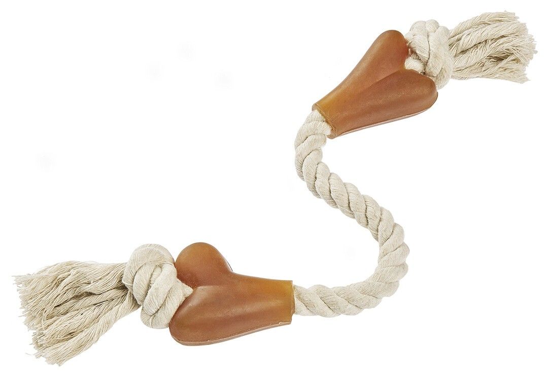 Spielzeugknochen mit Seil. Zwei braune Knochen an den Enden, verbunden durch ein weißes Seil. Knoten an den Enden.
