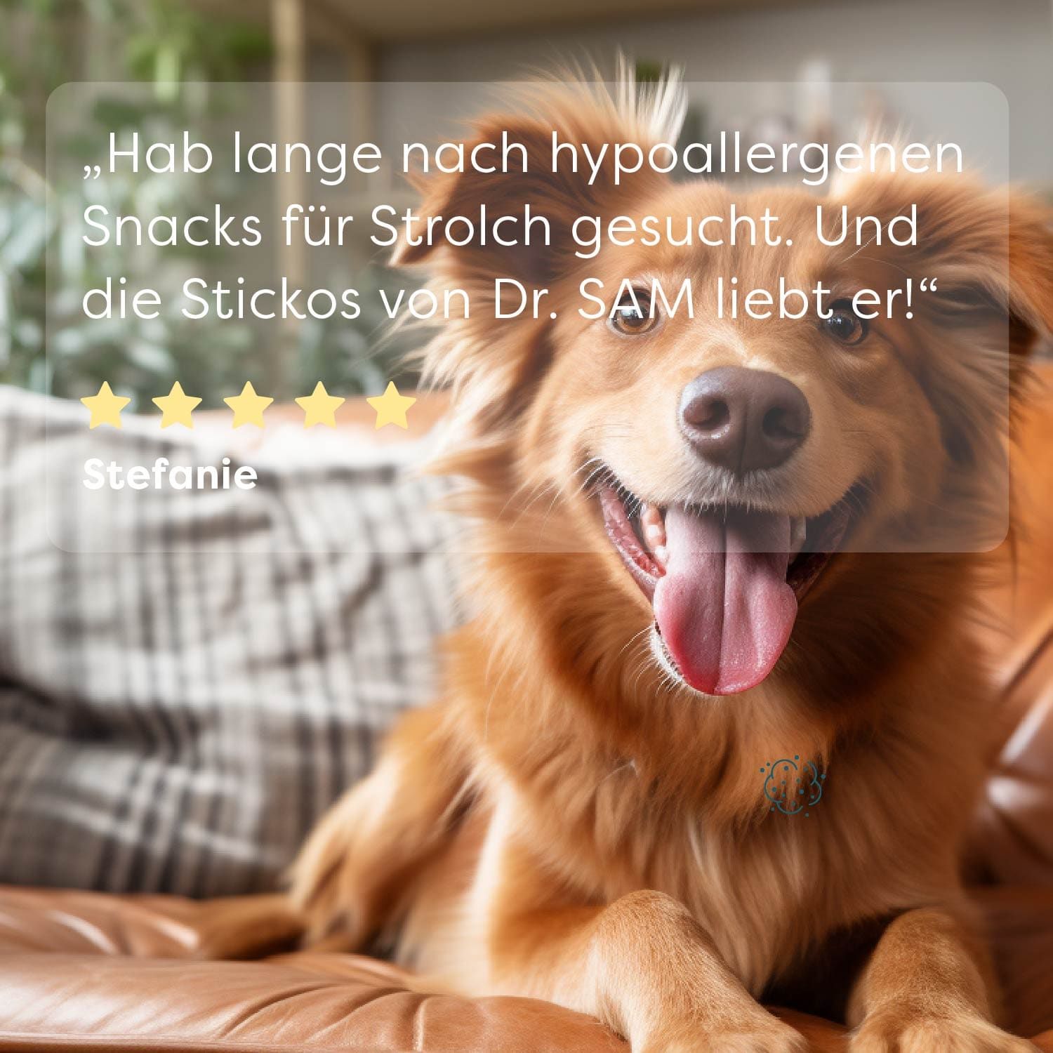 Dr. SAM Pferde Stickos für Hunde
