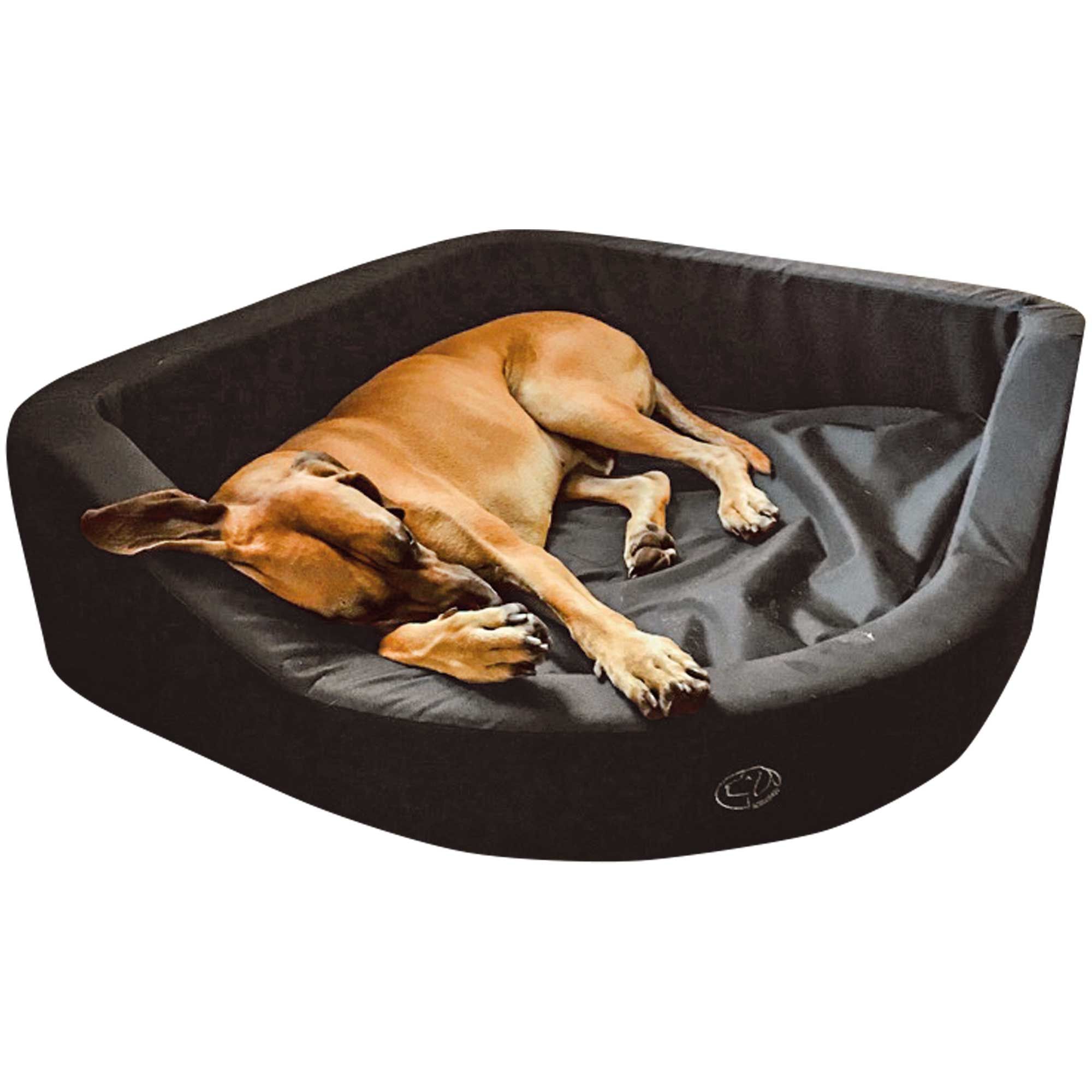 Schwarzes Hundebett mit einem Hund. Eckige Form mit erhöhten Seiten. Logo unten rechts.