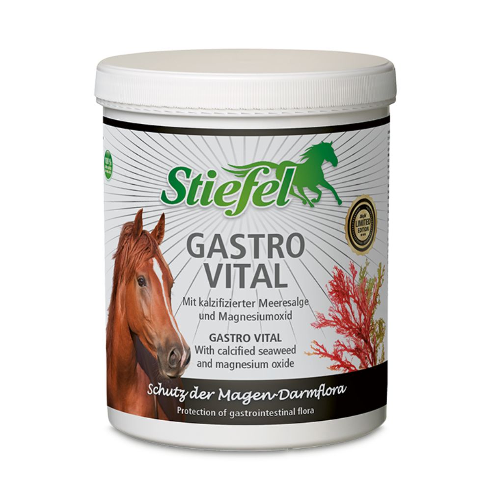 Stiefel Gastro Vital