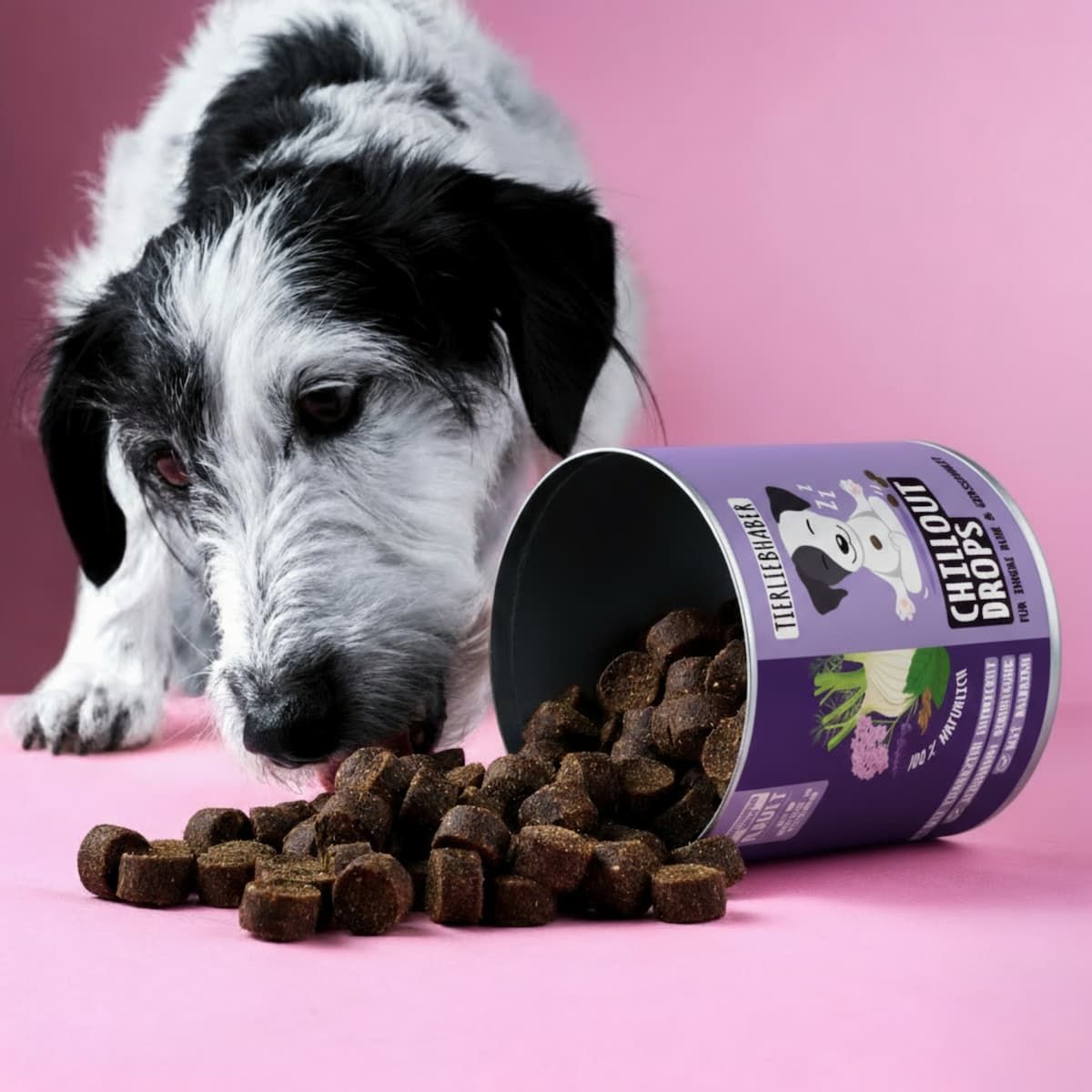 Dose liegt umgekippt, Leckerlis daneben. Aufschrift: Tierliebhaber Chillout Drops. Hund schaut auf Leckerlis. Leckerlis in Würfelform.