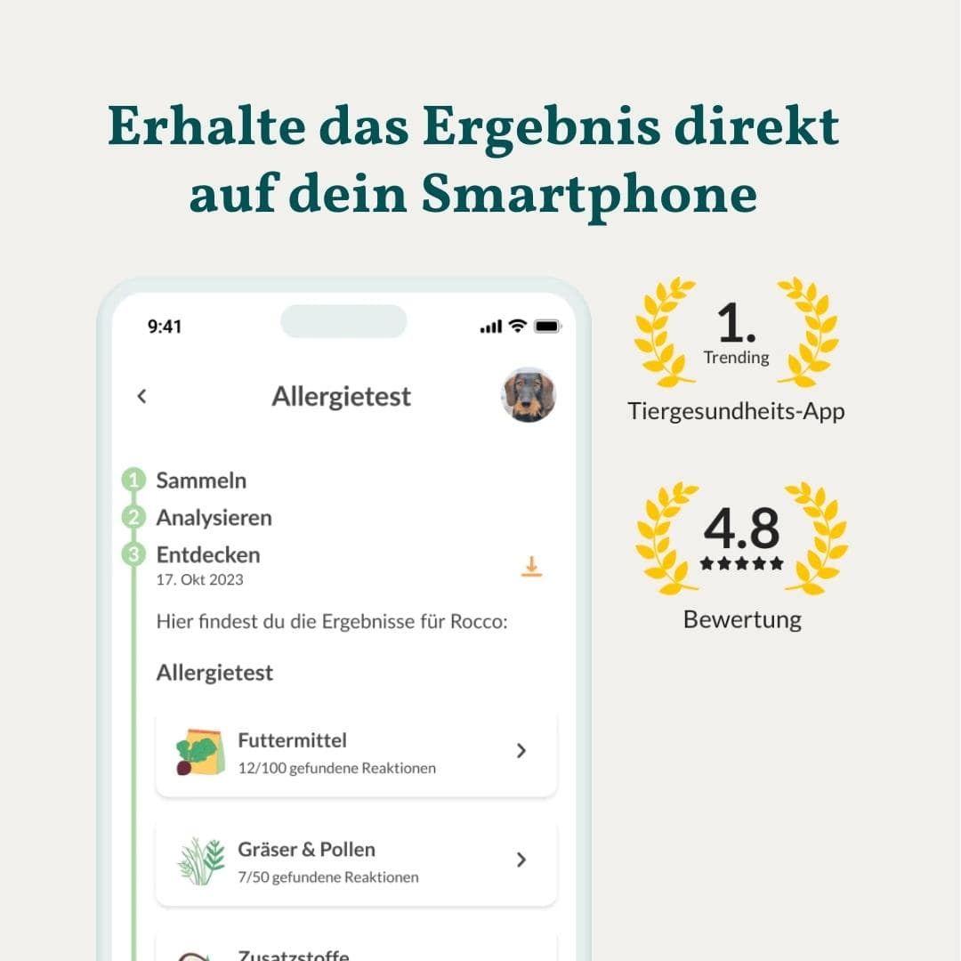 Smartphone-Bildschirm zeigt Allergietest-Ergebnisse für 'Rocco'. Links: '1. Trending Tiergesundheits-App', rechts: '4.8 Bewertung'.