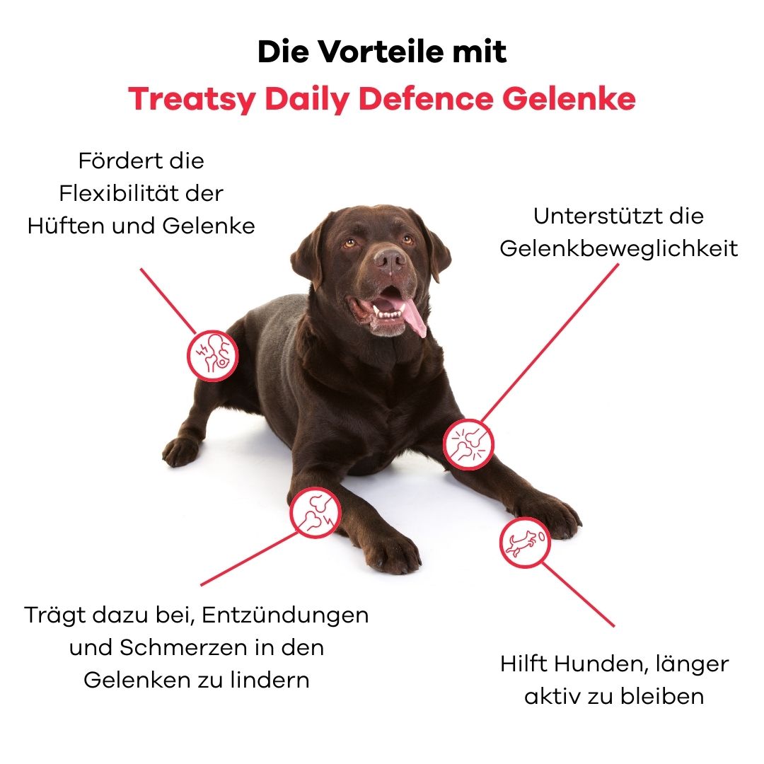 Brauner Hund liegt. Grafiken zeigen Gelenke. Text: Vorteile mit Treatsy Daily Defence Gelenke.
