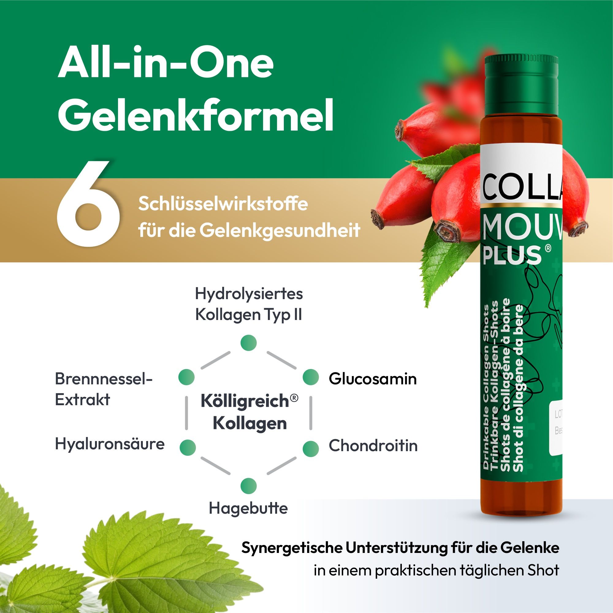 BHW Collamouv Plus Kollagen Glucosamin Chondroitin