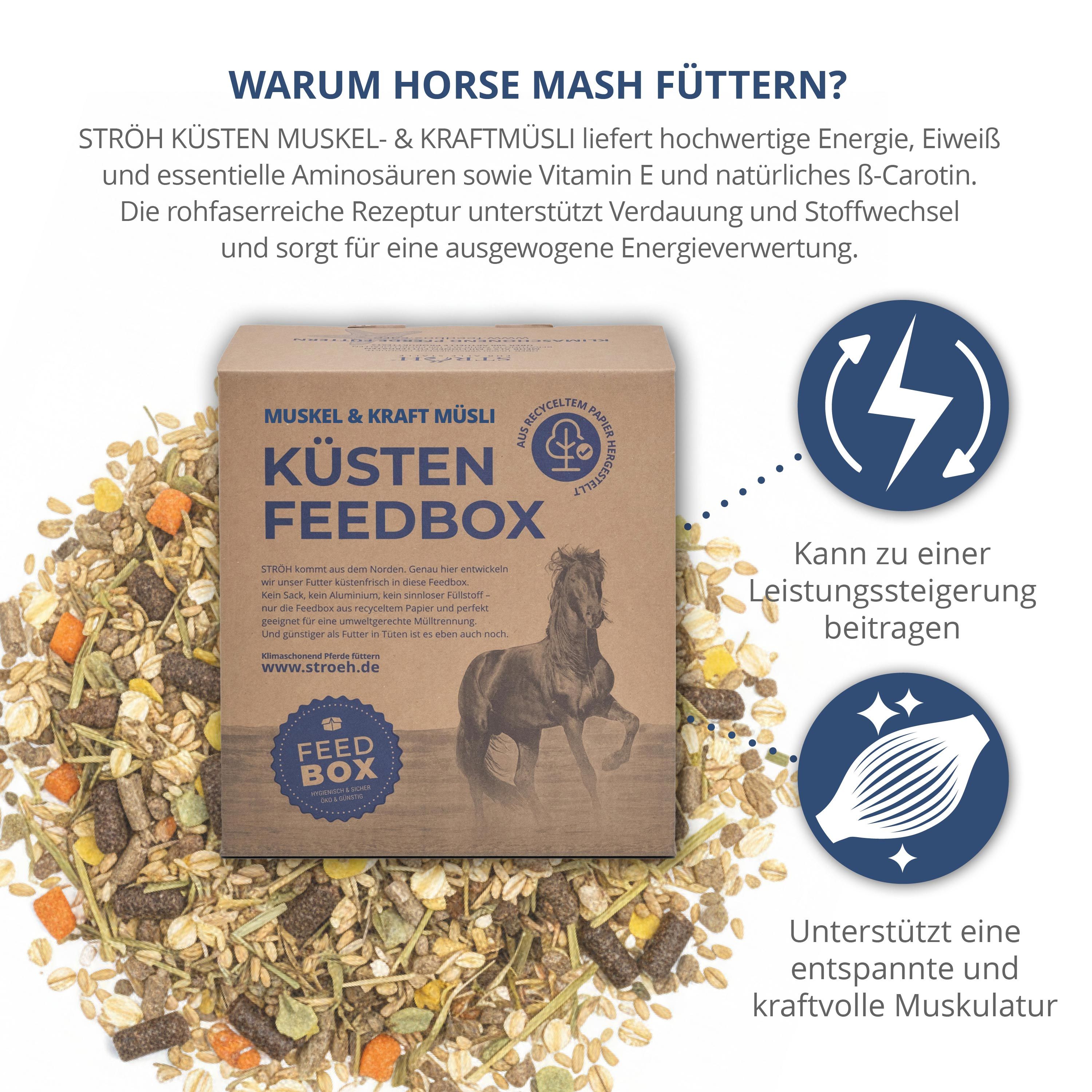 Karton "Küsten Feedbox" mit Müsli. Text: Muskel & Kraft Müsli. Logo mit Pferd. Grafiken: Blitz, Muskel. Produkt auf Müsli-Mischung.