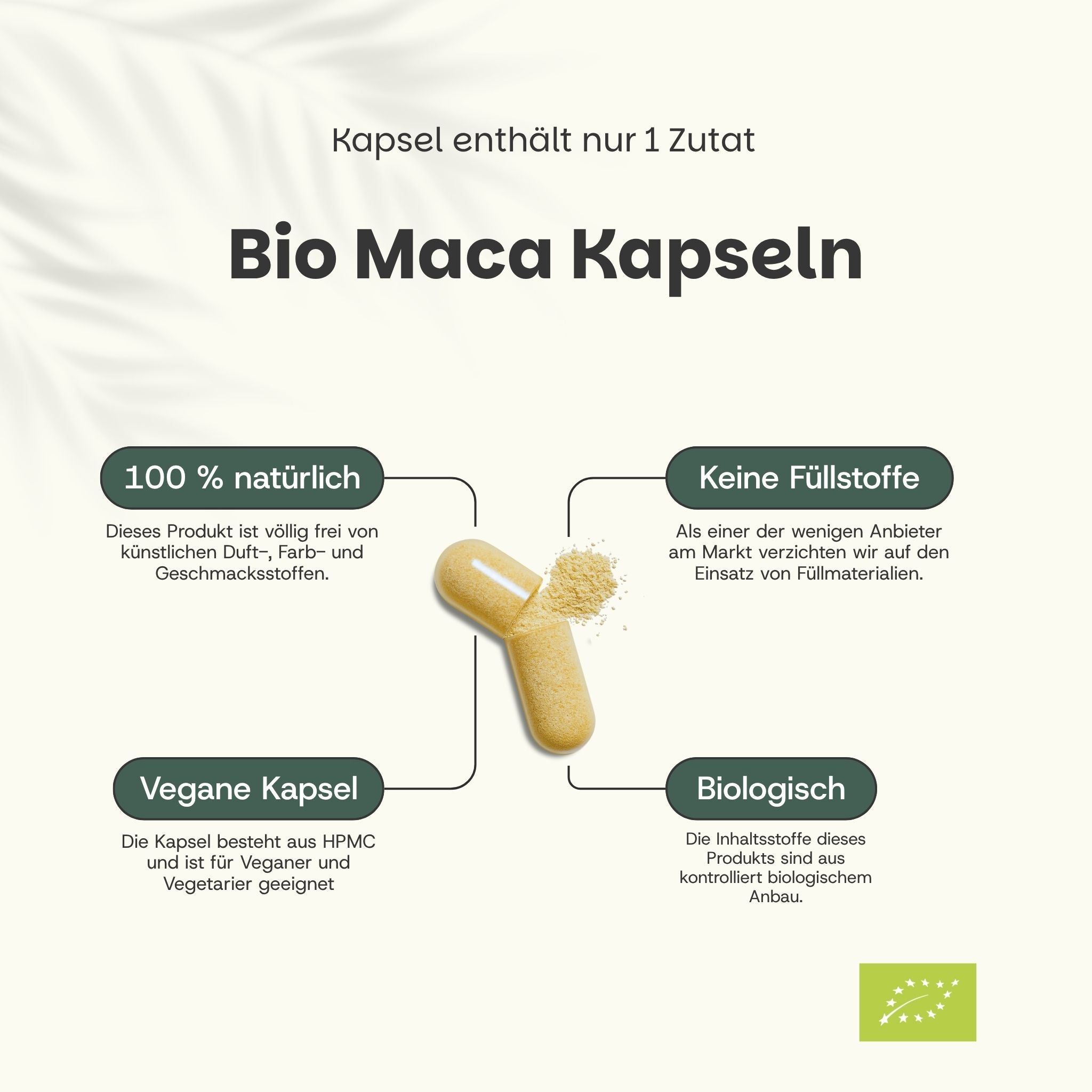 Kapsel mit Pulver. Text: Bio Maca Kapseln. 100% natürlich. Vegane Kapsel. Biologisch. Keine Füllstoffe.