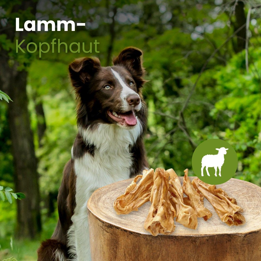Getrocknete Lamm-Kopfhaut-Streifen, 100% Lamm, mit Hund.