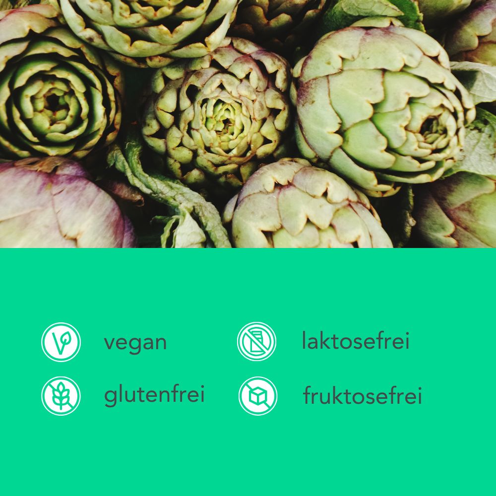 Grüner Hintergrund mit Symbolen: vegan, laktosefrei, glutenfrei, fruktosefrei. Bilder von Artischocken.