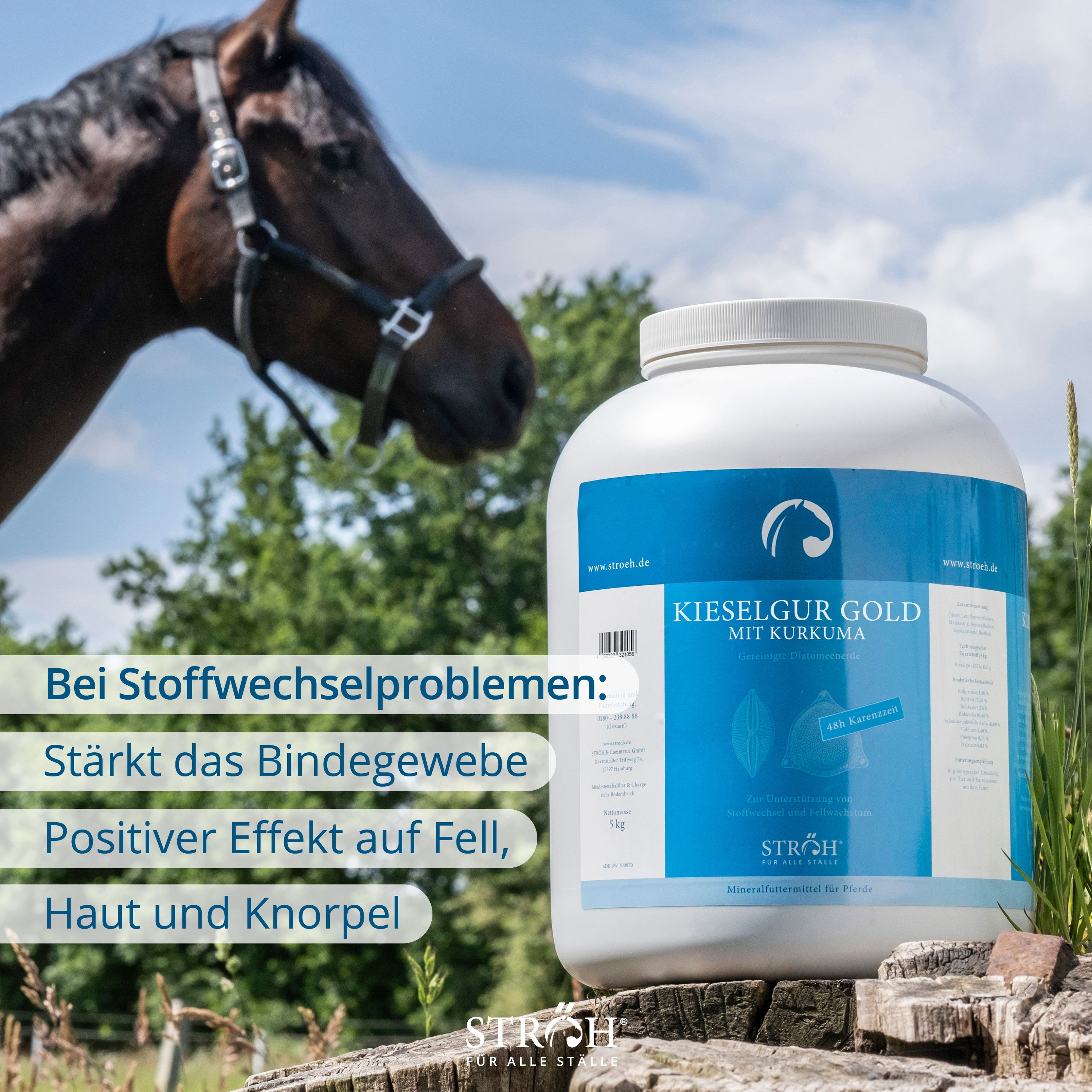 Pferd mit Halfter. Daneben Behälter mit blauem Etikett. Text: Kieselgur Gold. Text: Stärkt das Bindegewebe. Marke: STRÖH.